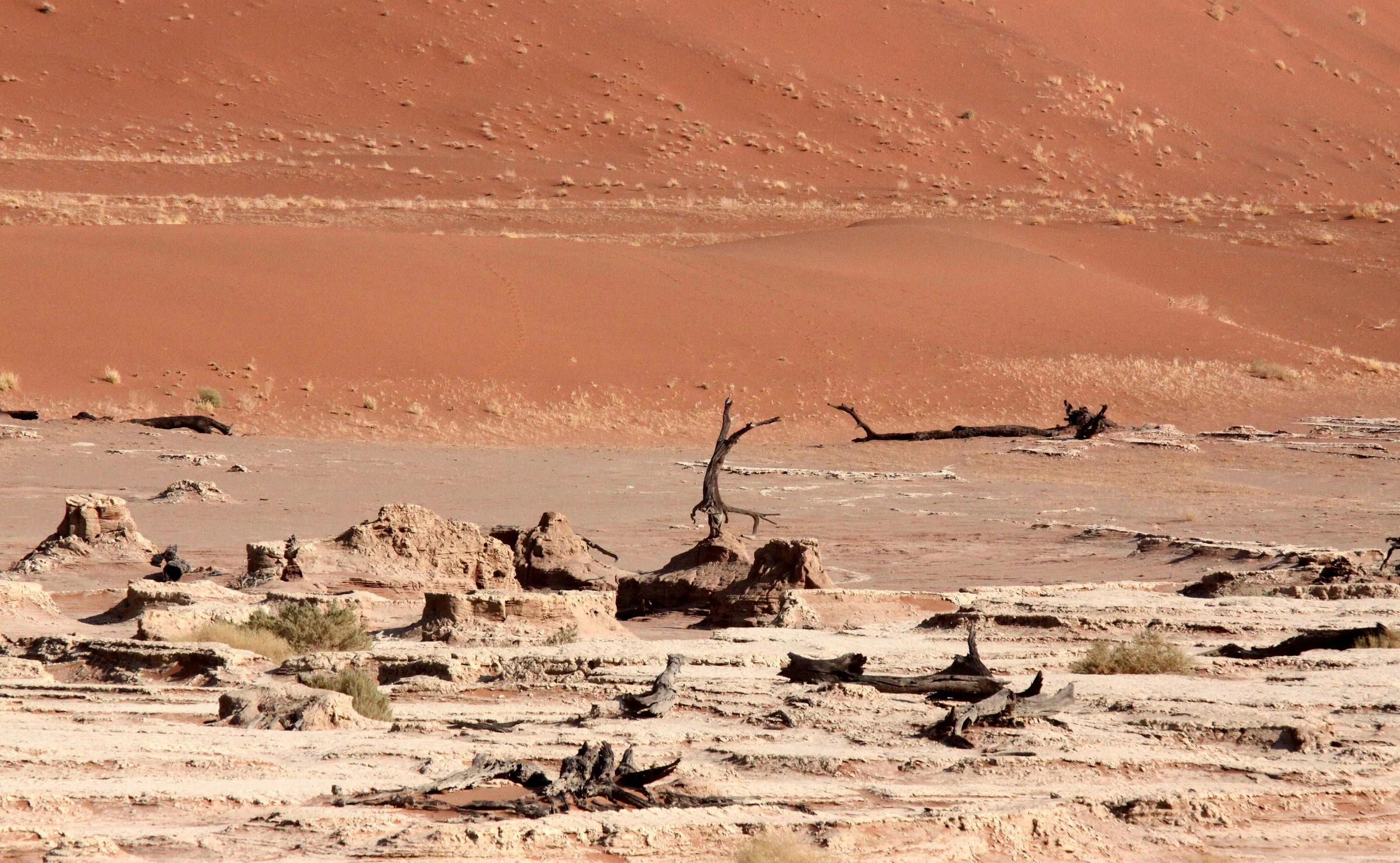 SOSSUSVLEI, NAMIB NAUKLUFT NATIONAL PARK, NAMIBIA - DEAD VLEI (84).JPG
