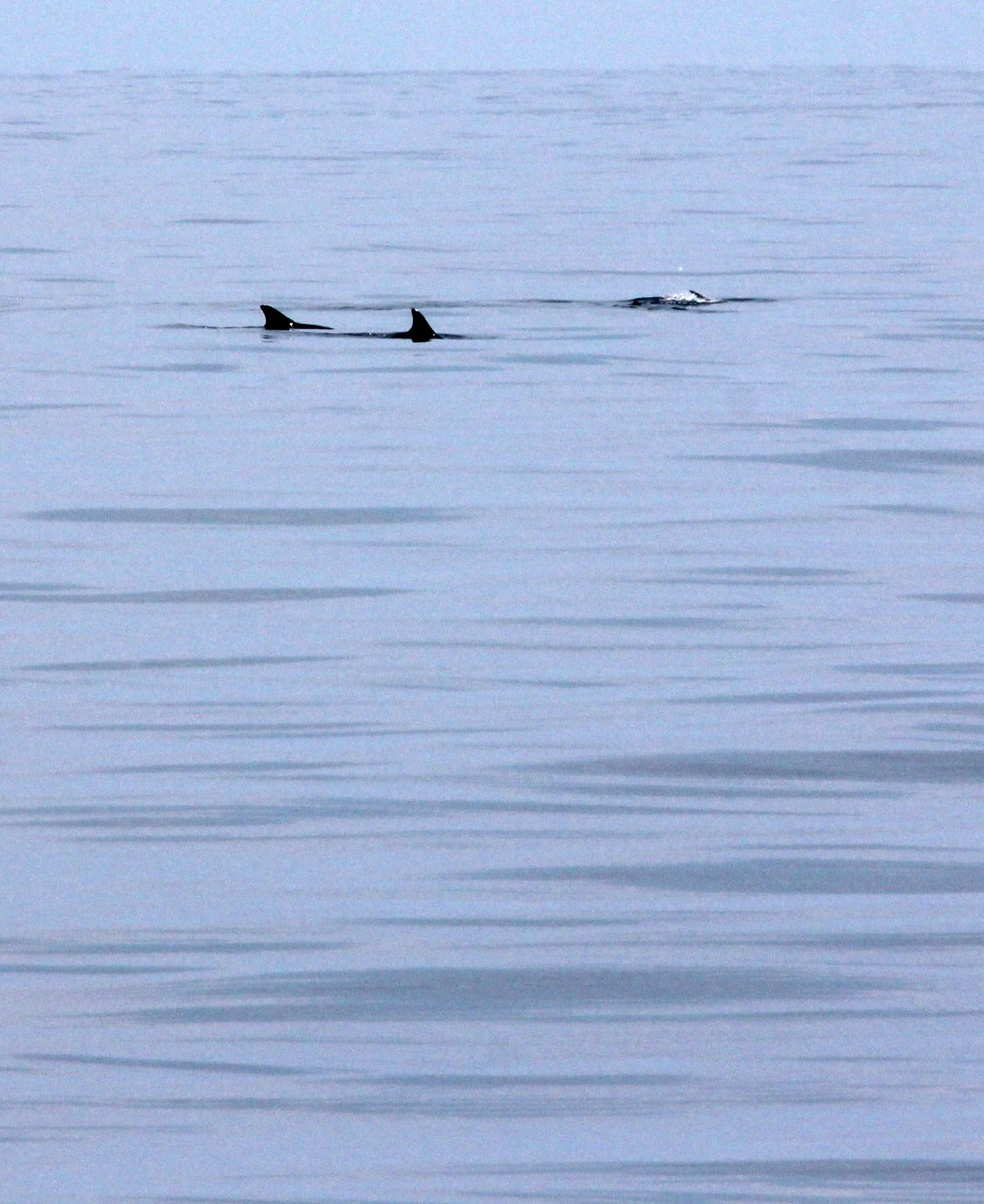 2014 Similans Trip with Family on The Junk (219).JPG