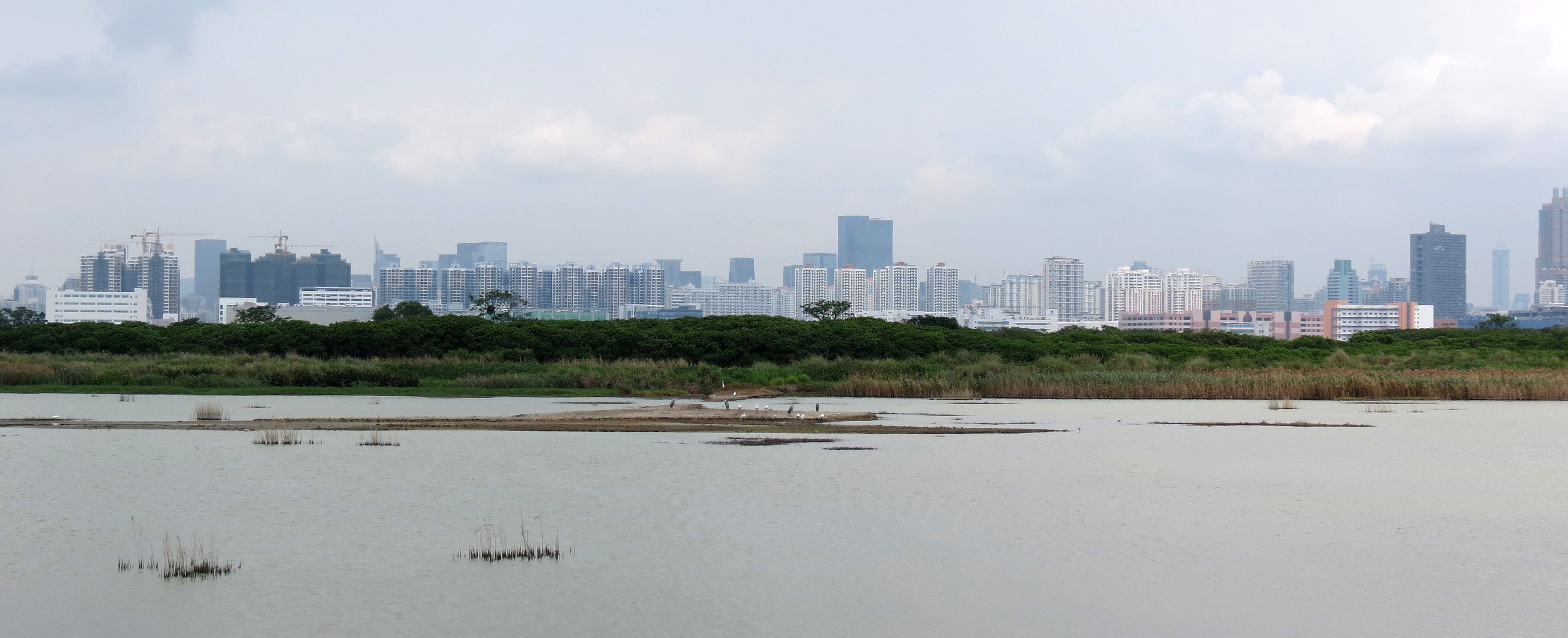 MAI PO WETLANDS HONG KONG (49).JPG