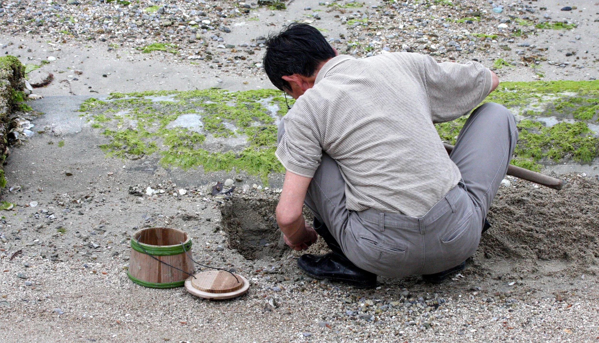 MIYAJIMA - MAY 2009 - SCENES AND LANDSCAPES (27).JPG