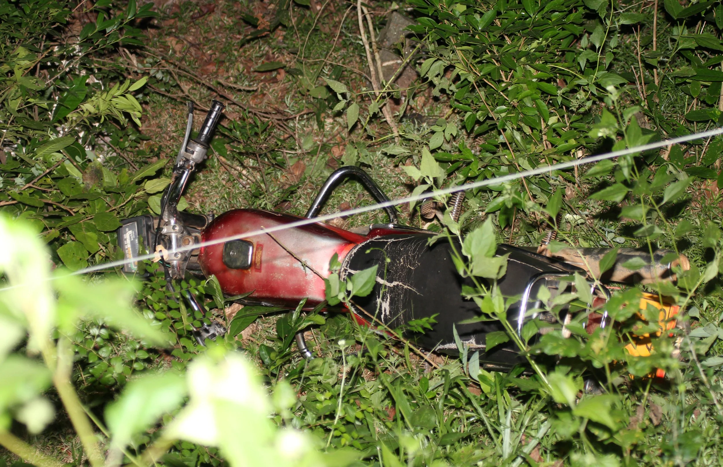 SIRIGIYA FOREST AREA SRI LANKA (13).JPG