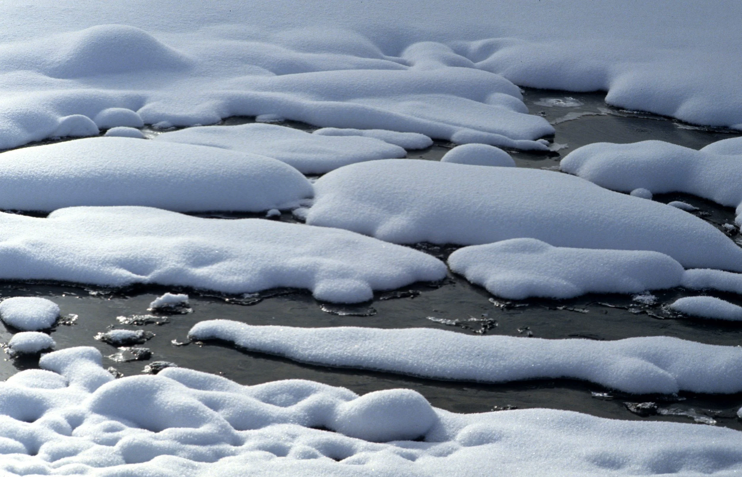 YELLOWSTONE IN WINTER T.jpg