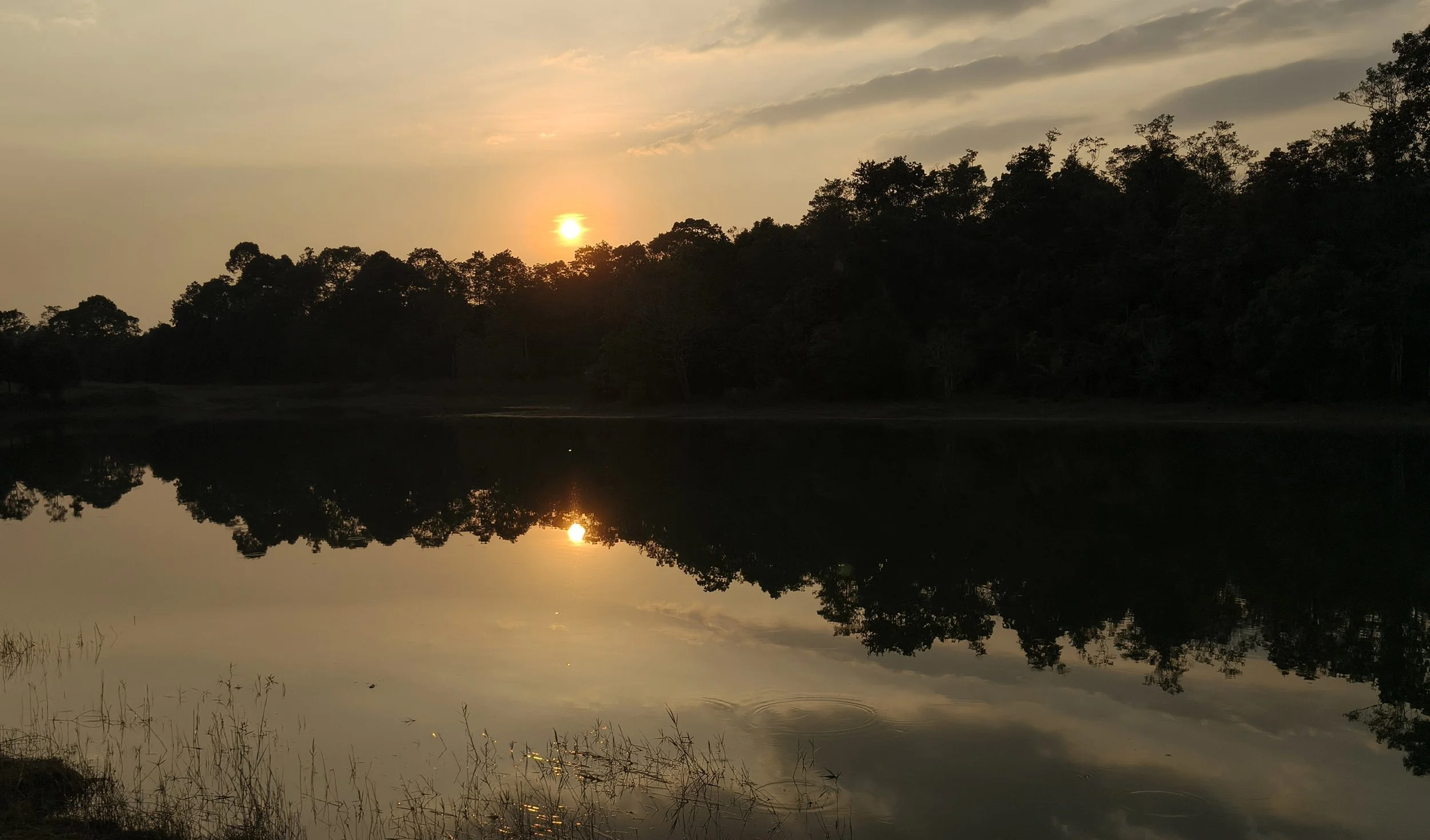 Khao Yai National Park, Thailand (201).jpg