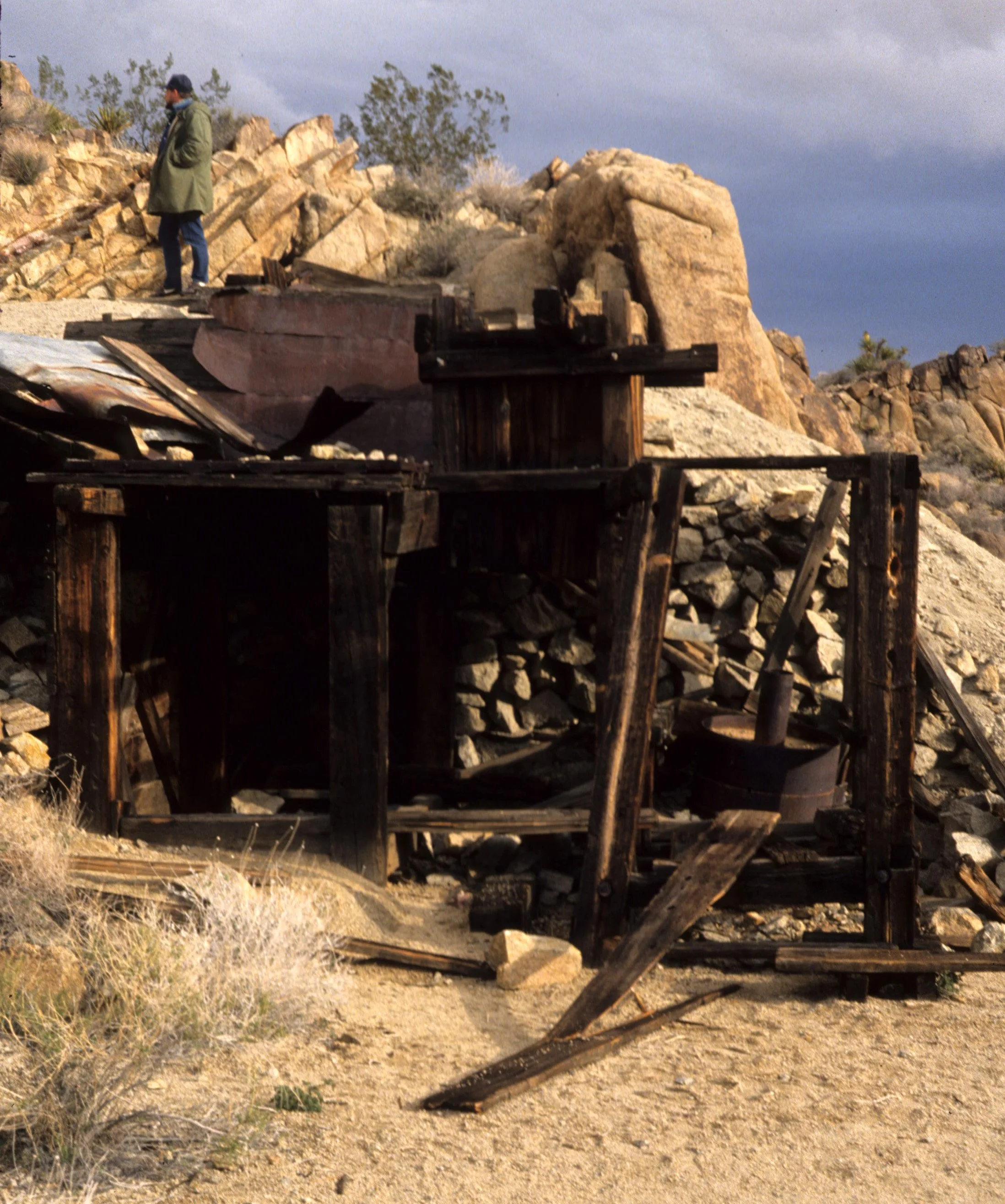 JOSHUA TREE - MINING.jpg