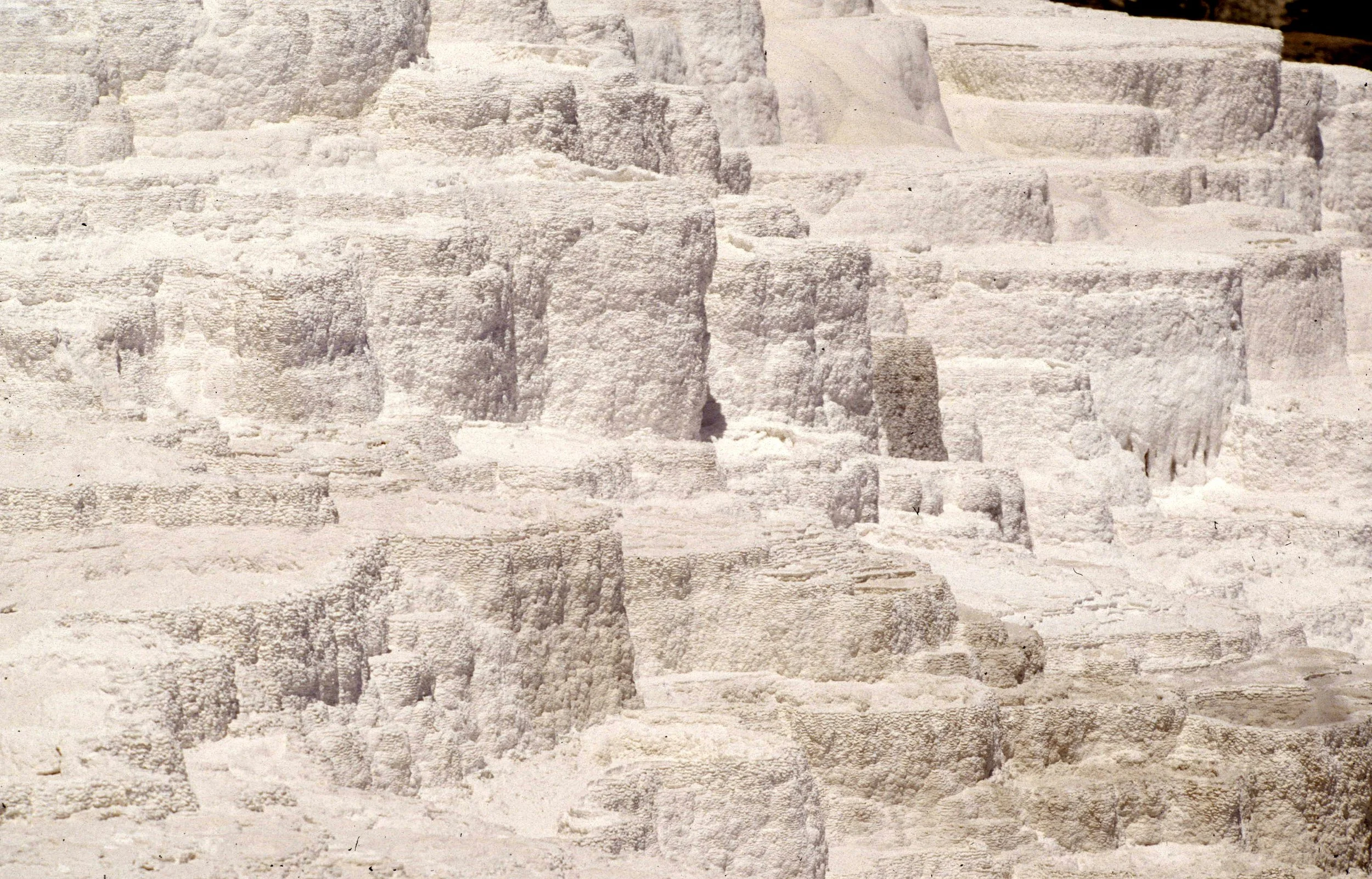 YELLOWSTONE - MAMMOTH HOTSPRINGS N.jpg