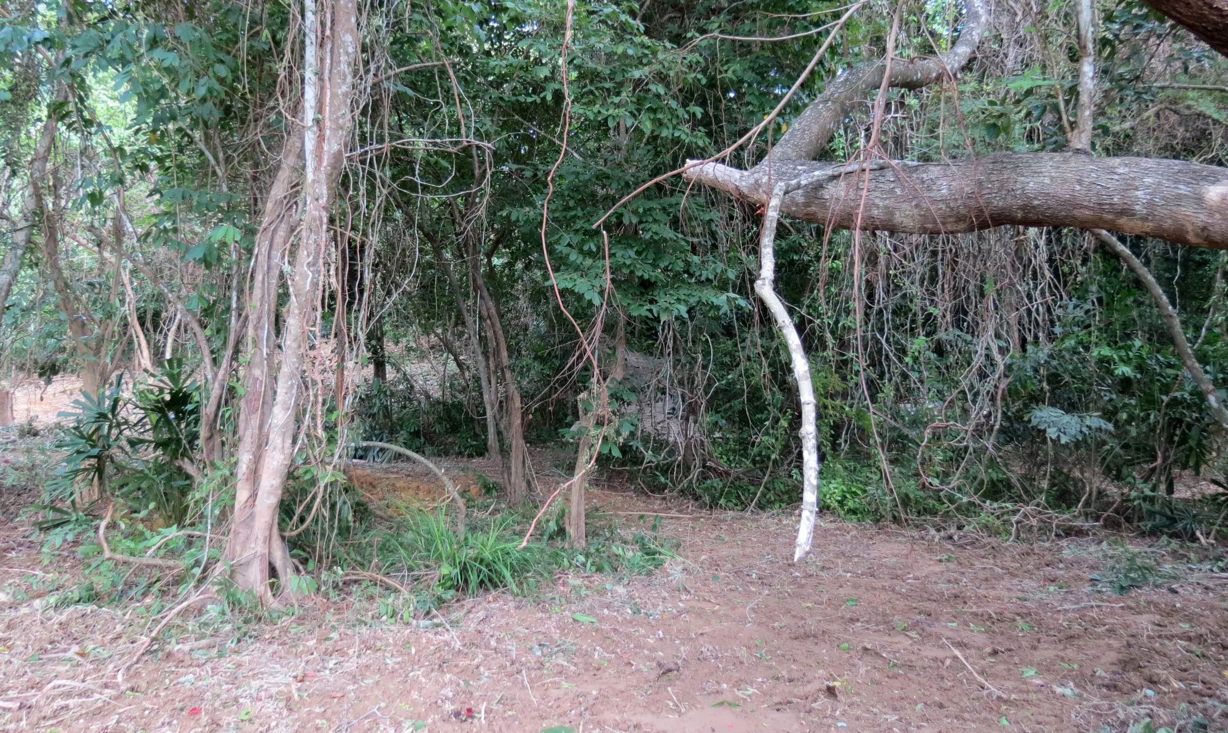 2014 Koh Lanta Build (36).JPG