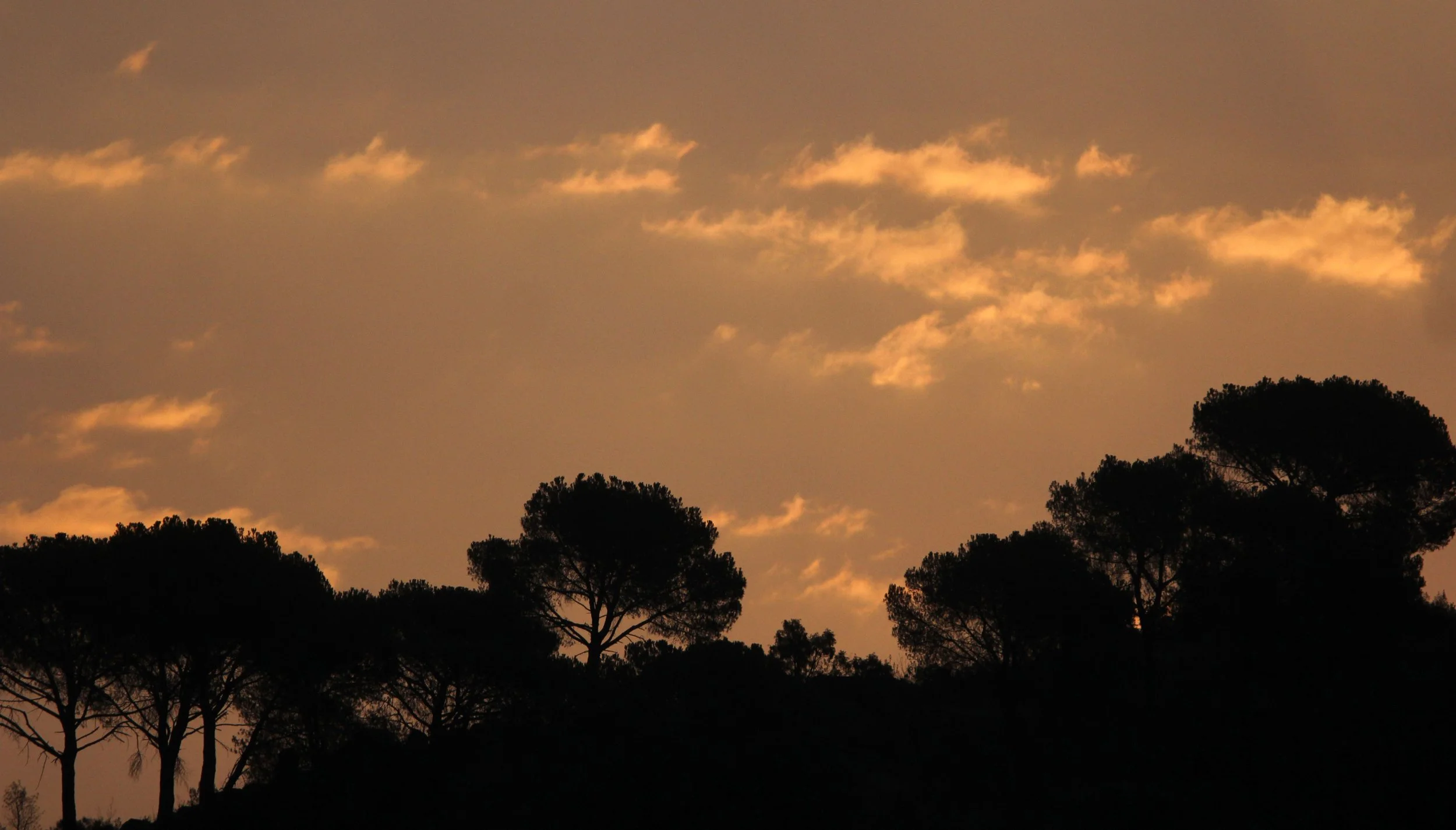 SIERRA DE ANDUJAR SPAIN (11).JPG