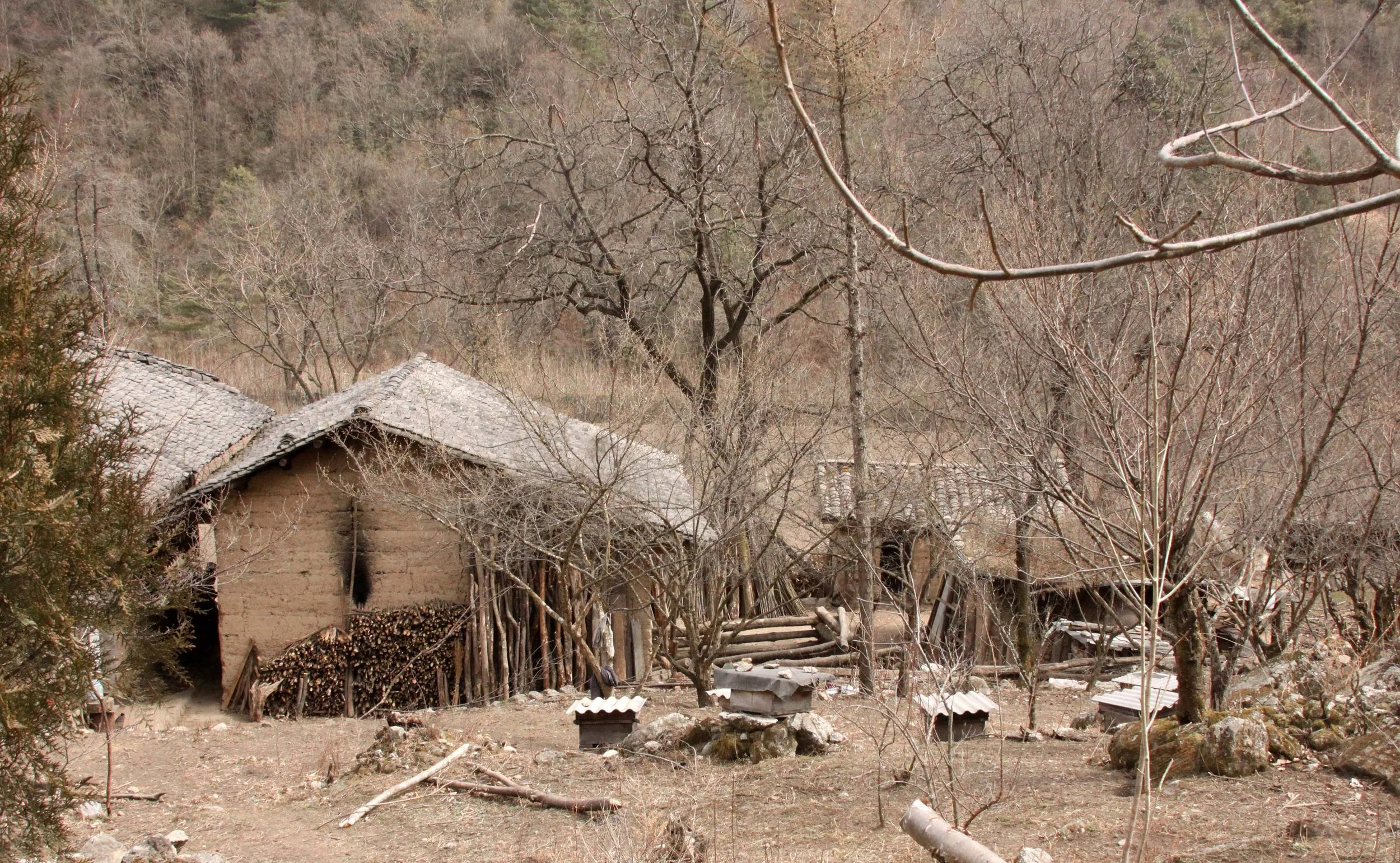 FOPING NATURE RESERVE - SHAANXI PROVINCE CHINA (243).JPG