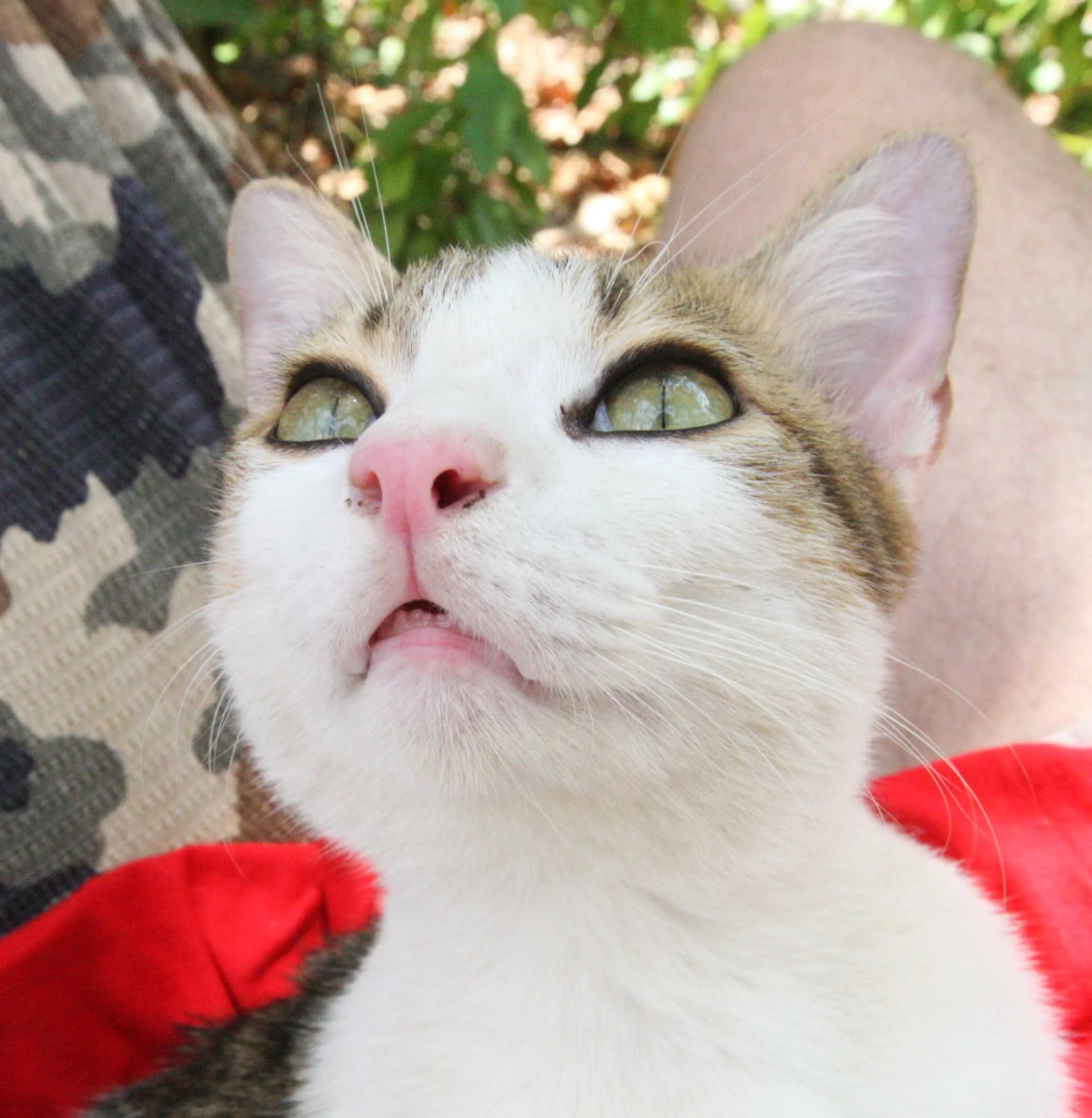 2015 Koh Lanta Songkran with friends from ISB (272).JPG