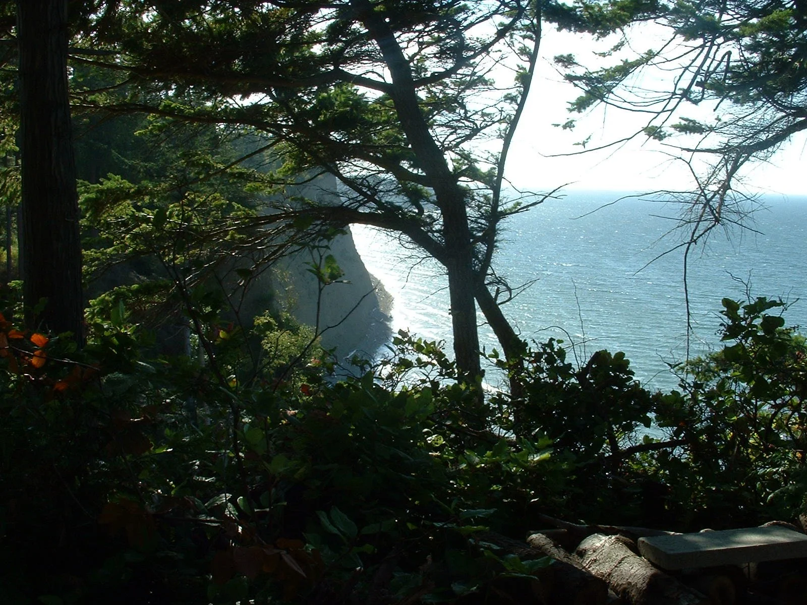 2003-8-1 WASHINGTON VISIT FROM ROBINSONS ET AL (215).JPG