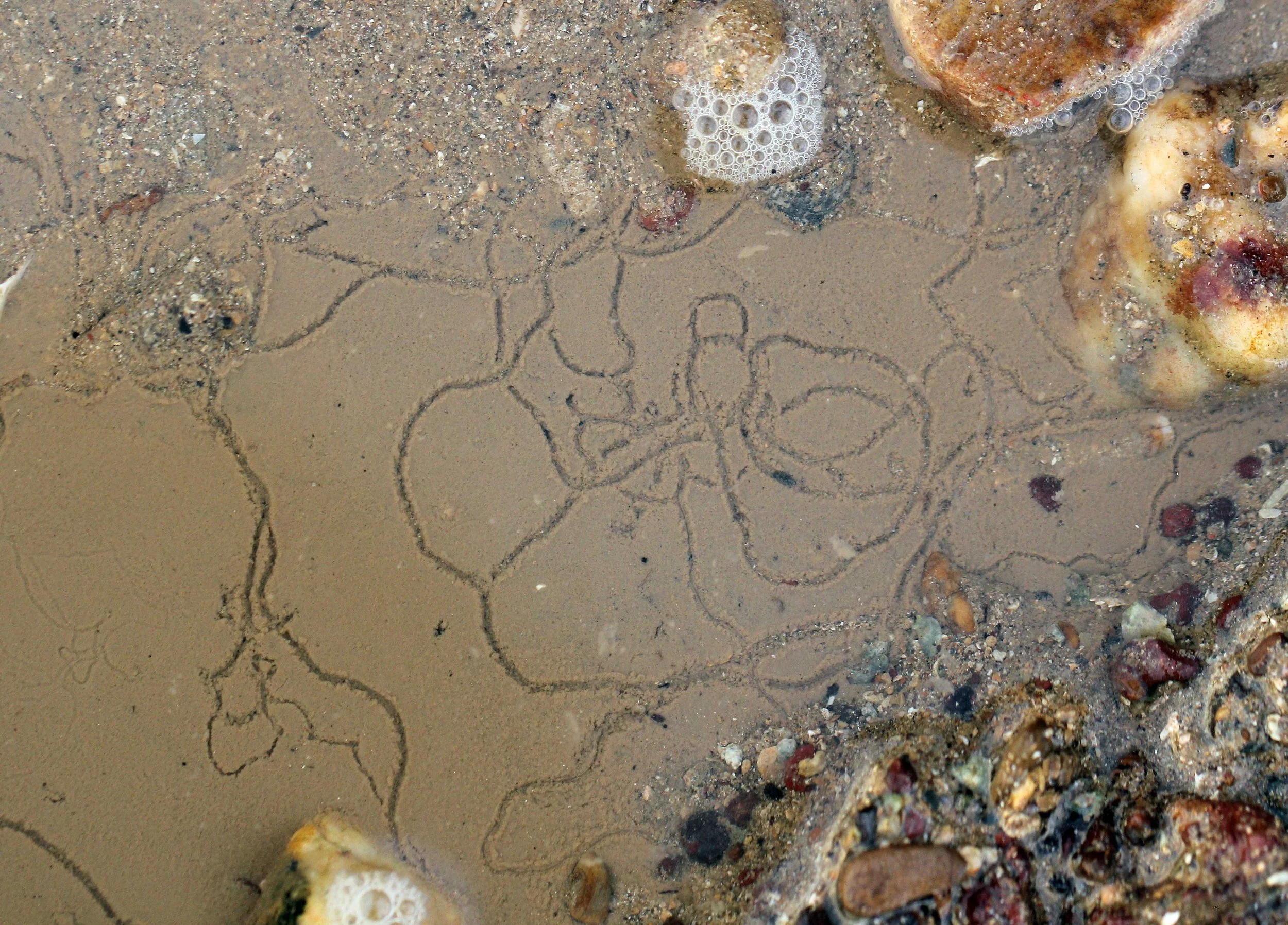 2015 Koh Lanta Songkran with friends from ISB (696).JPG