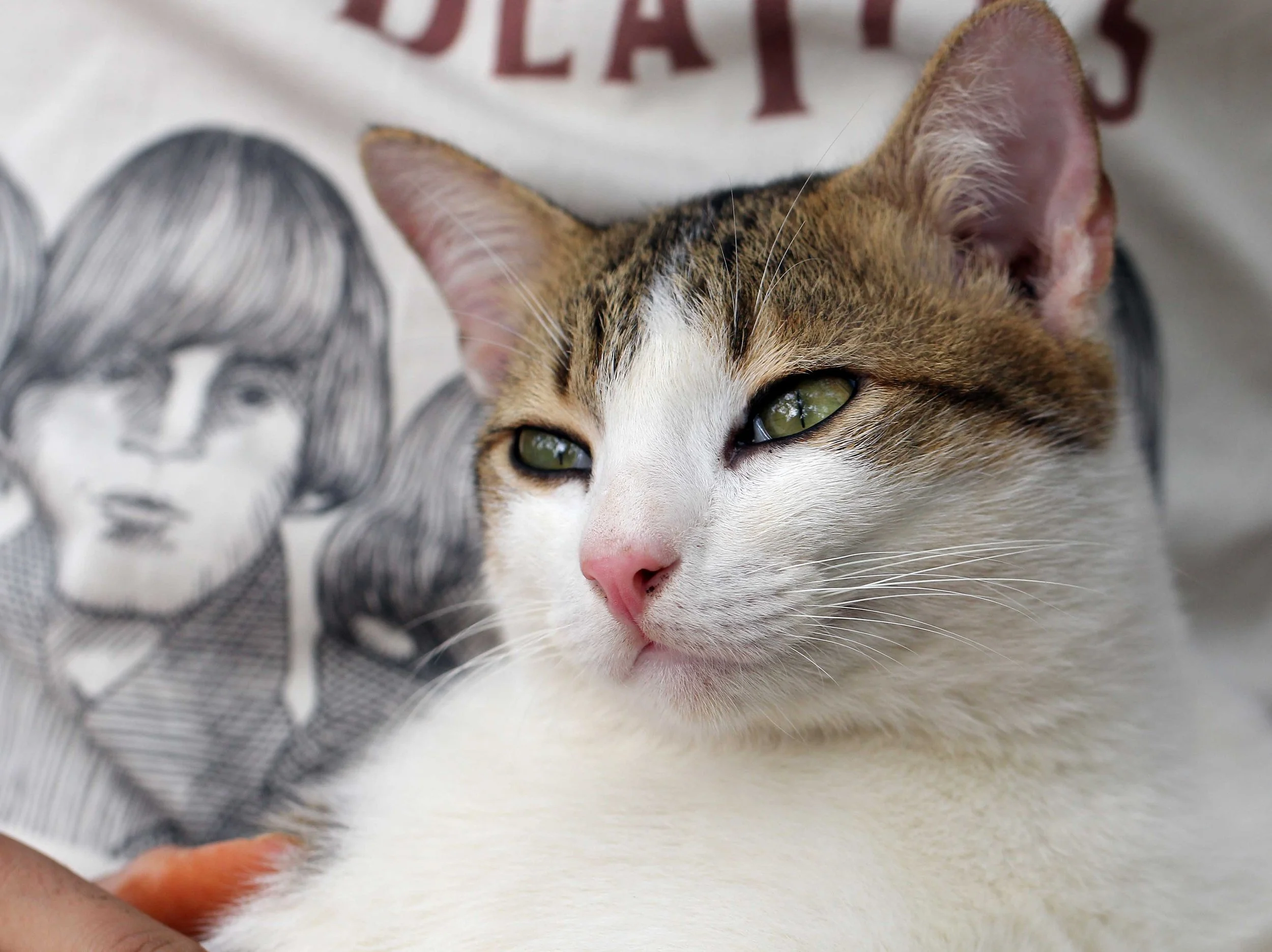 2015 Koh Lanta Songkran with friends from ISB (398).JPG