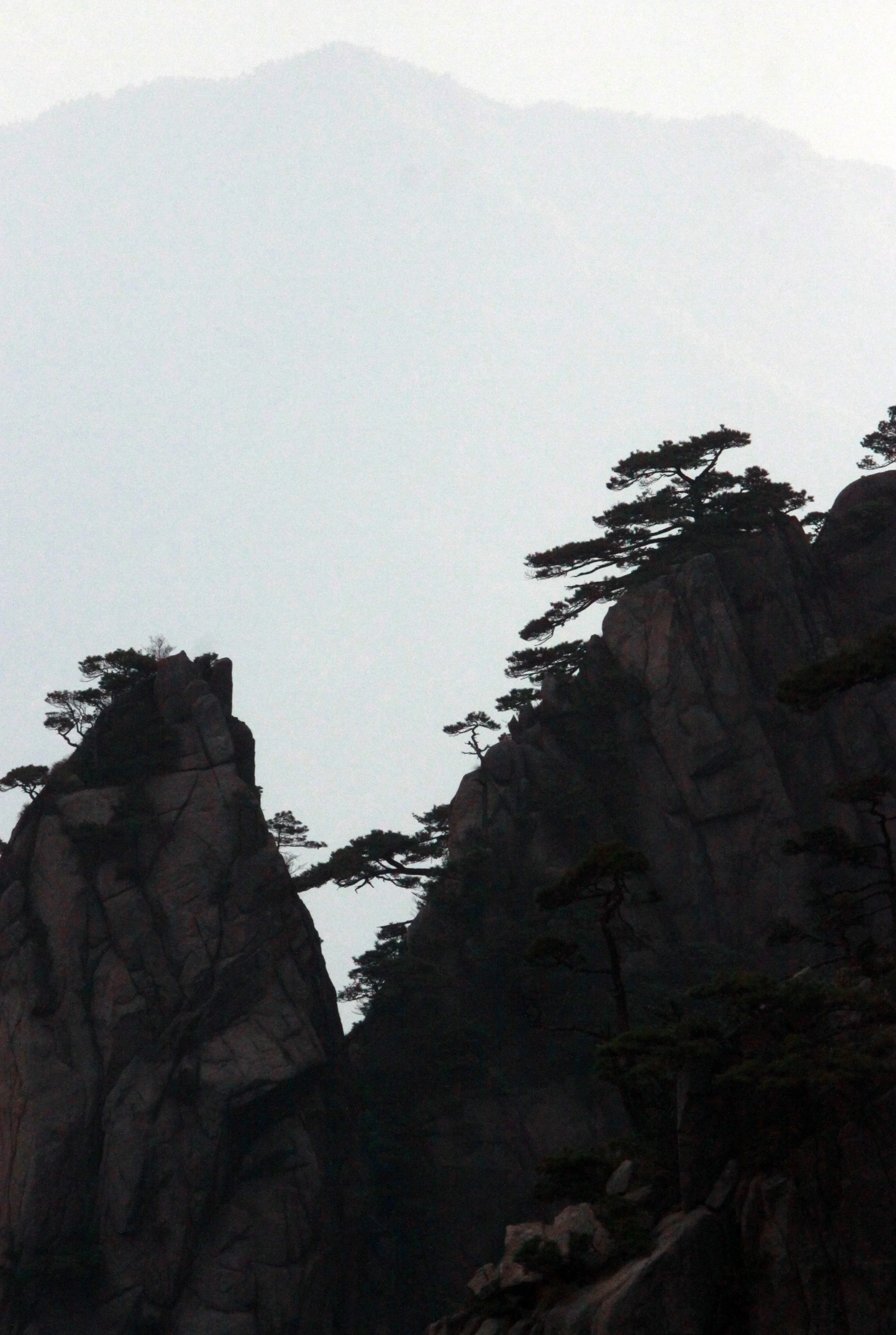 HUANGSHAN NATIONAL PARK - ANHUI PROVINCE CHINA (86).JPG