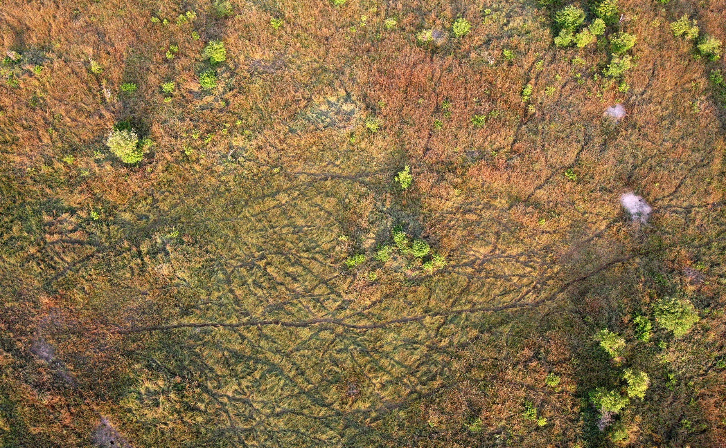 MASAI MARA NATIONAL PARK KENYA (107).JPG