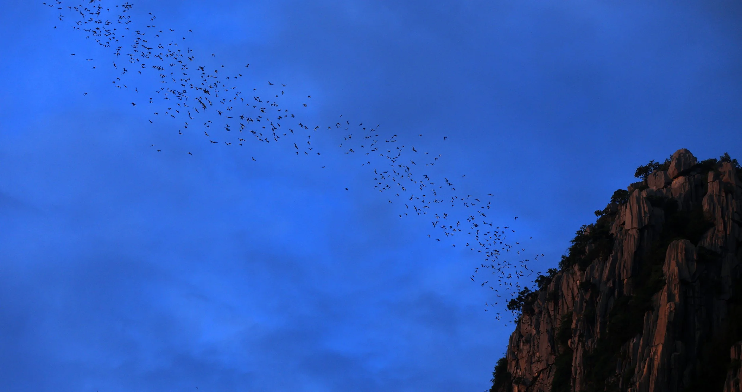 Khao Nor Khao Kaew Bat Viewing Nakhon Sawan (51).jpg