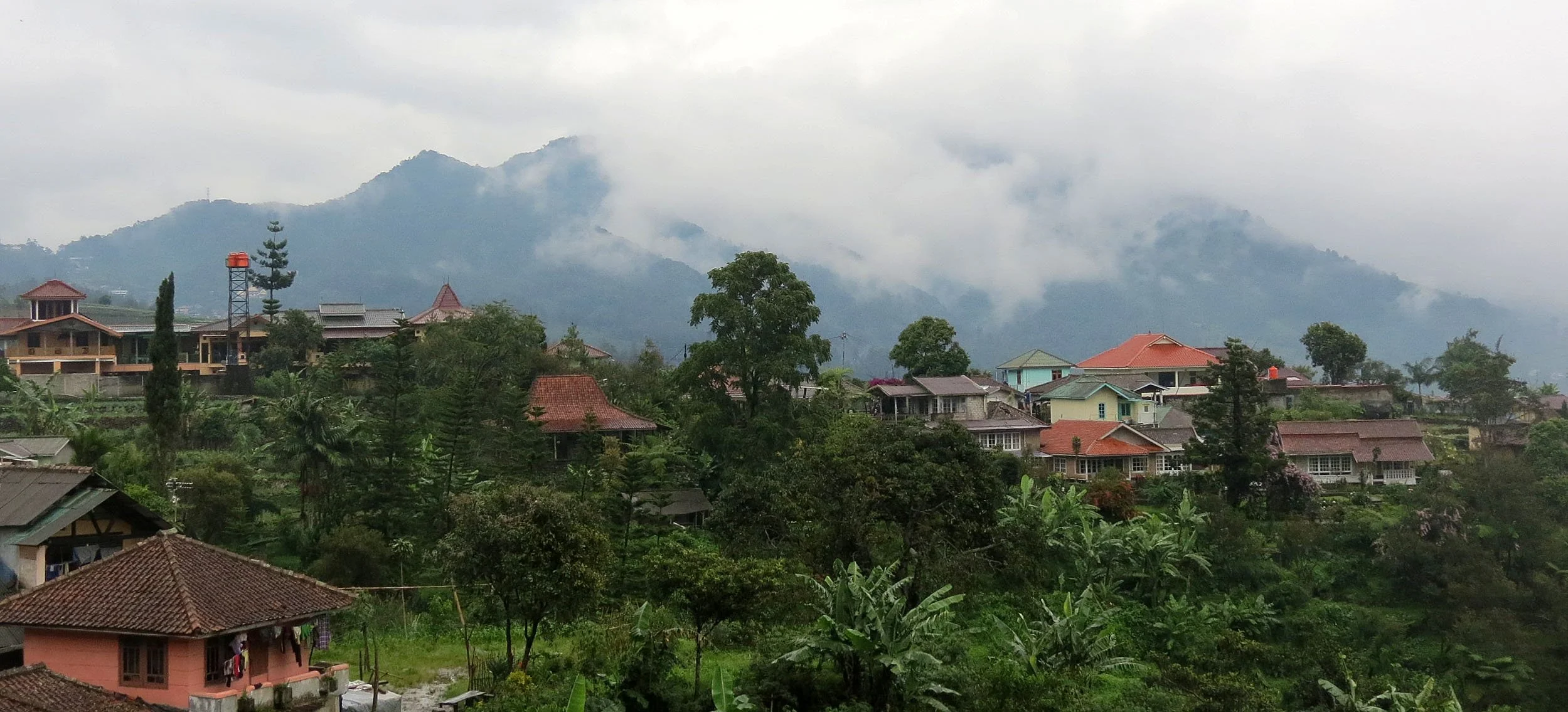 GEDE NATIONAL PARK - JAVA BARAT INDONESIA (36).JPG