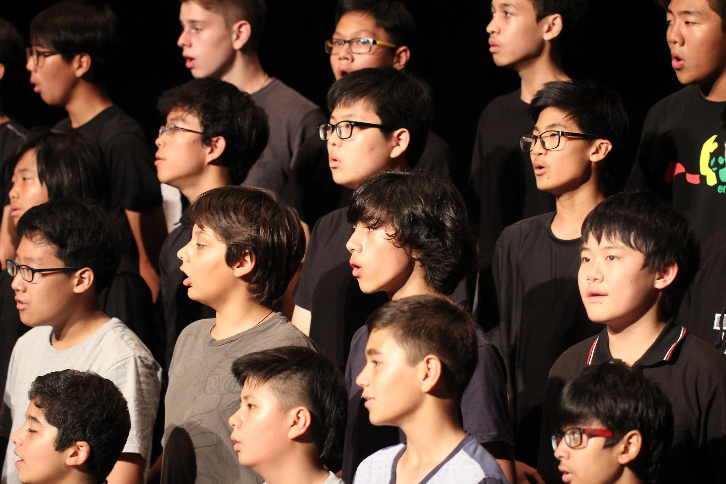 2015 Spring Concert for Cokie at ISB (29).JPG