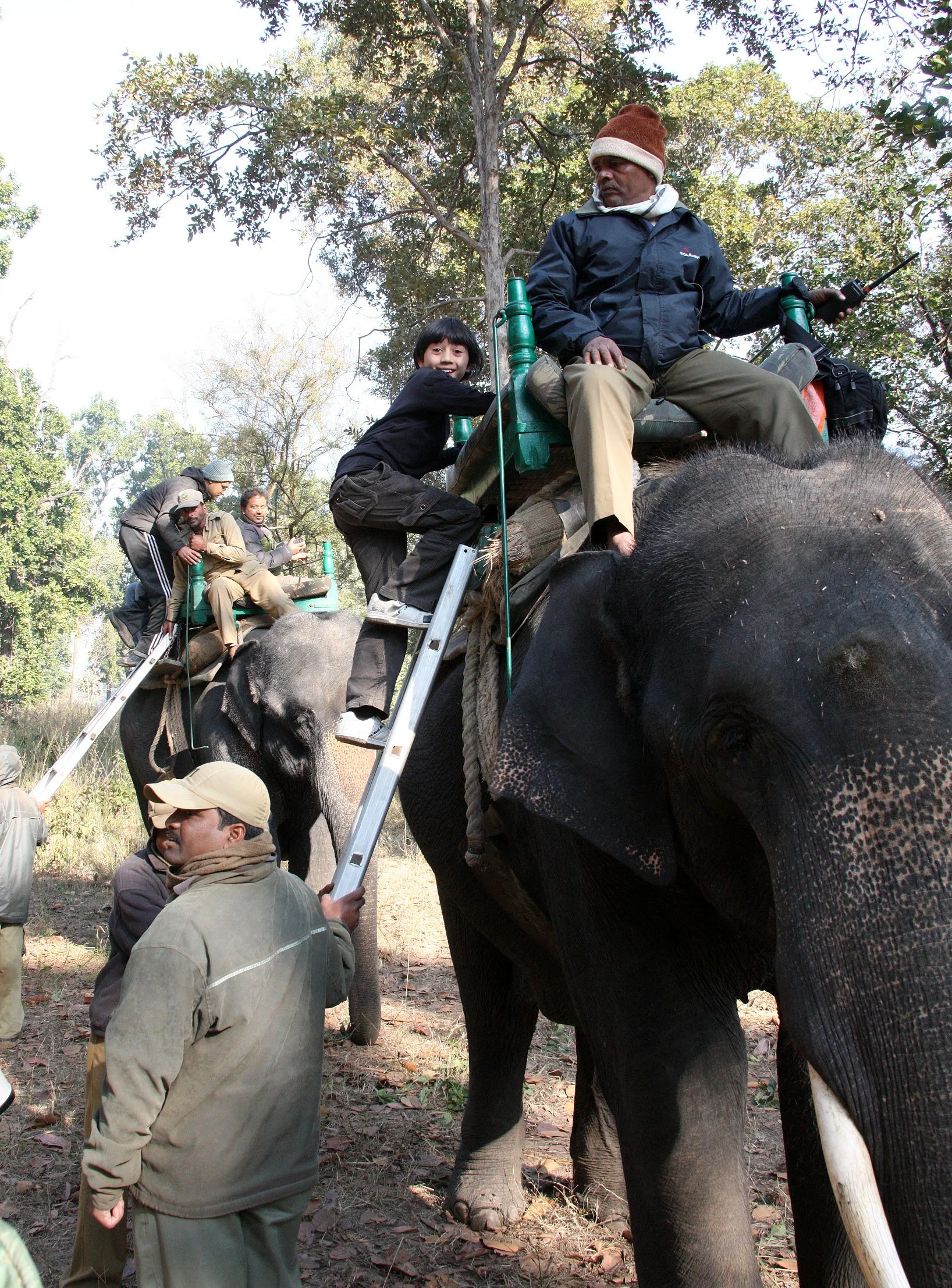 MADHYA PRADESH - KANHA NATIONAL PARK MADHYA PRADESH INDIA (8).JPG