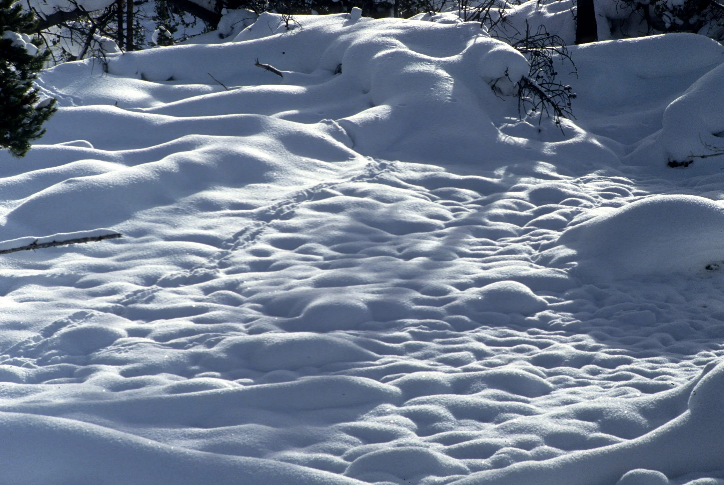 YELLOWSTONE IN WINTER K.jpg