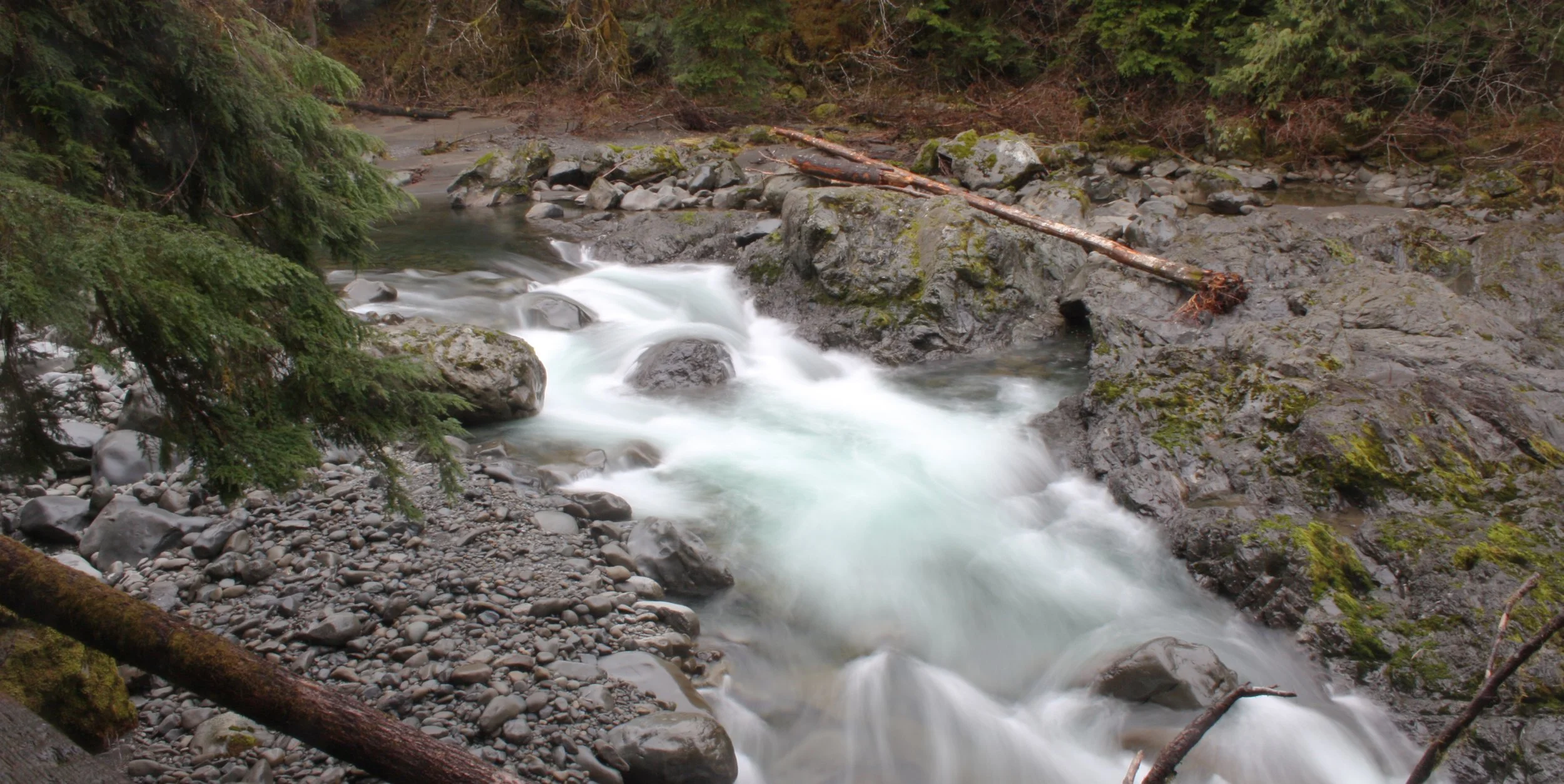 SOL DUC FALLS AND FOREST - ONP WA (4).JPG