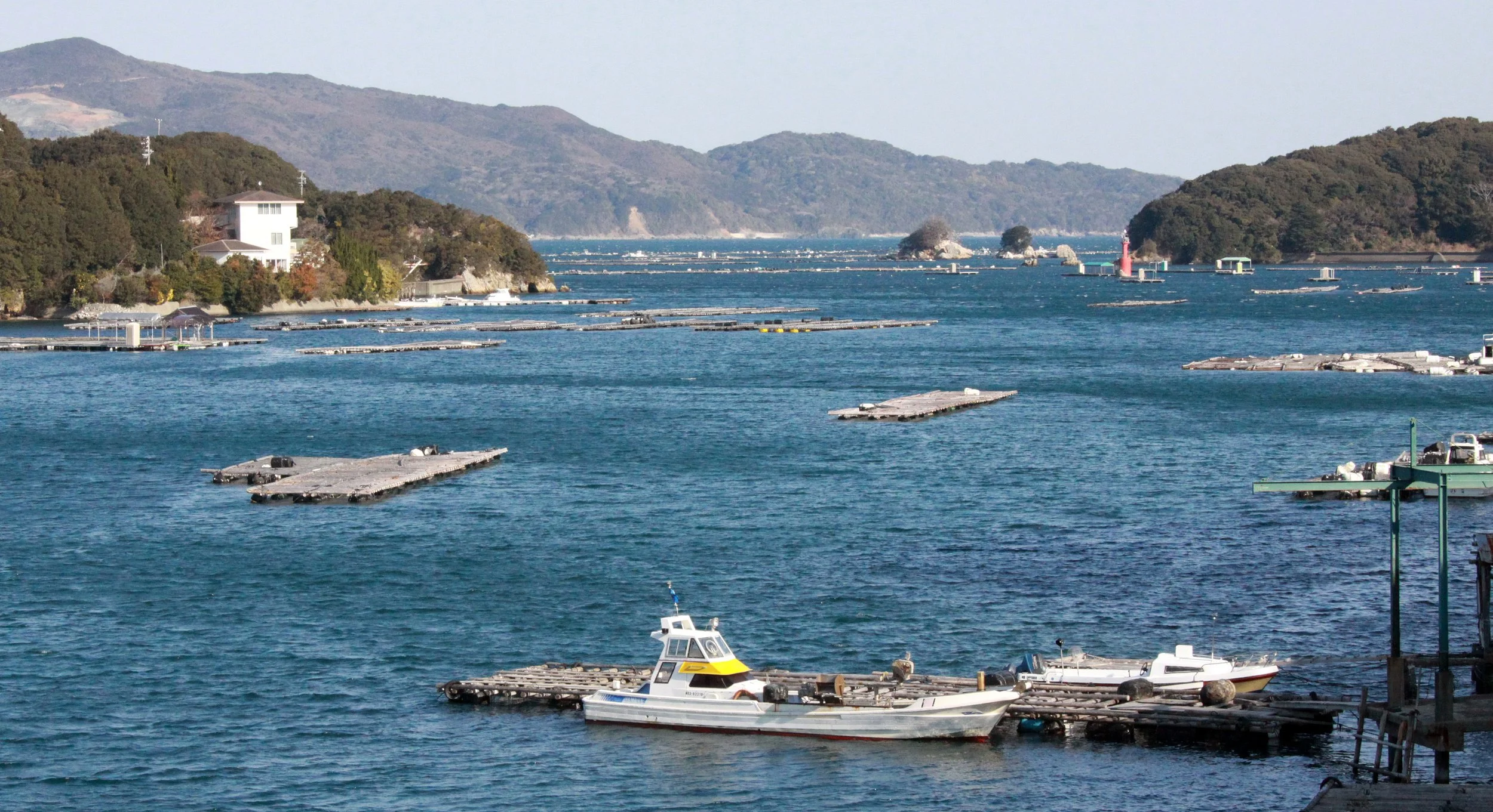TOBA HARBOR JAPAN (4).JPG