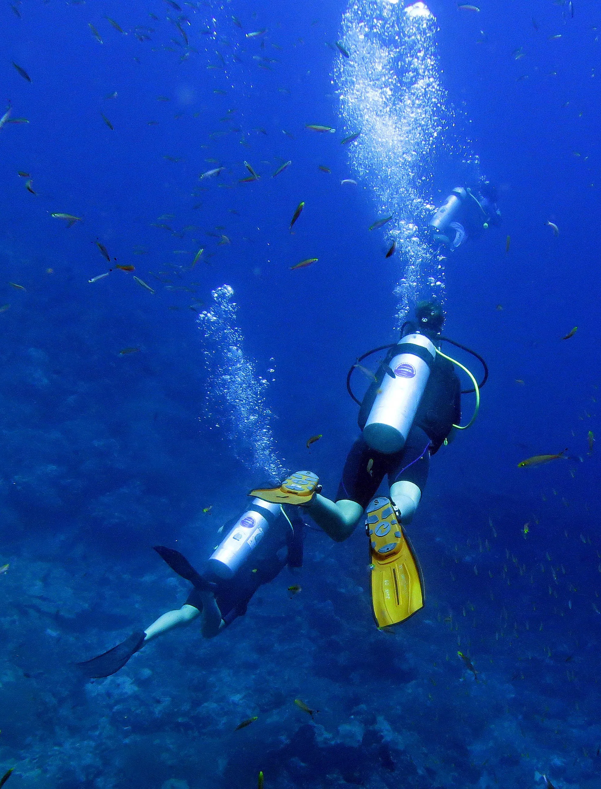 2014 Similan Islands Marine Park Thailand ISB Dive Trip (112).JPG