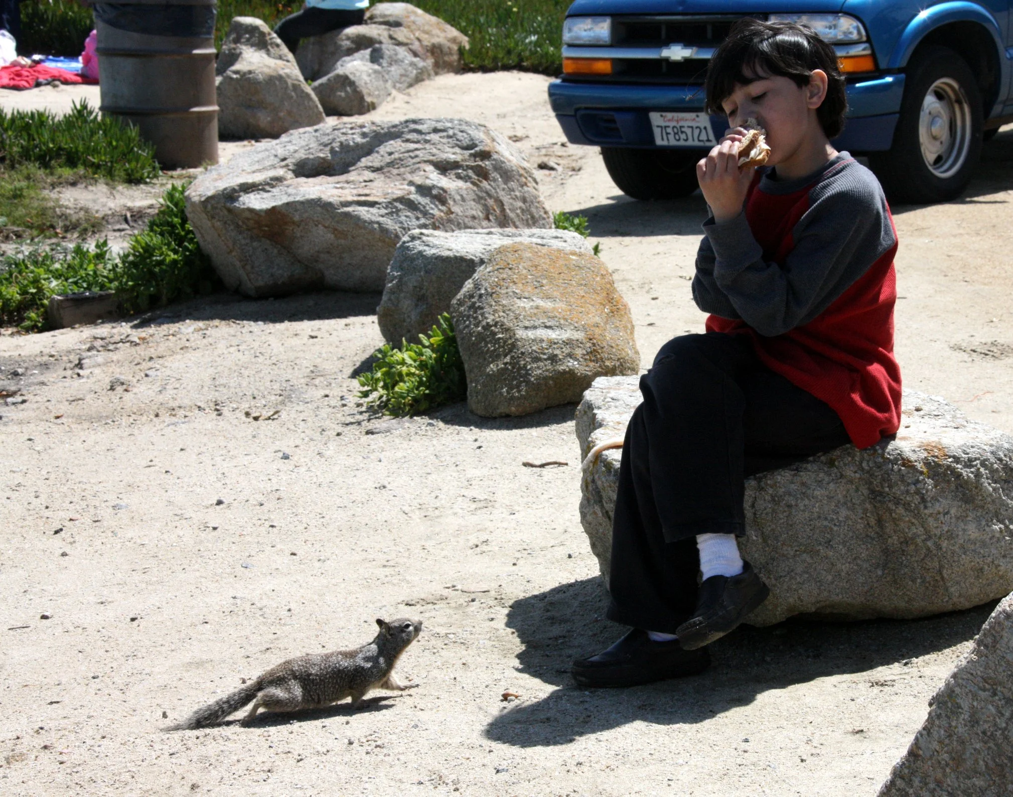 2010-3-31 ELKHORN SLOUGH & MONTEREY CALIFORNIA - ROADTRIP 2010 (9).JPG
