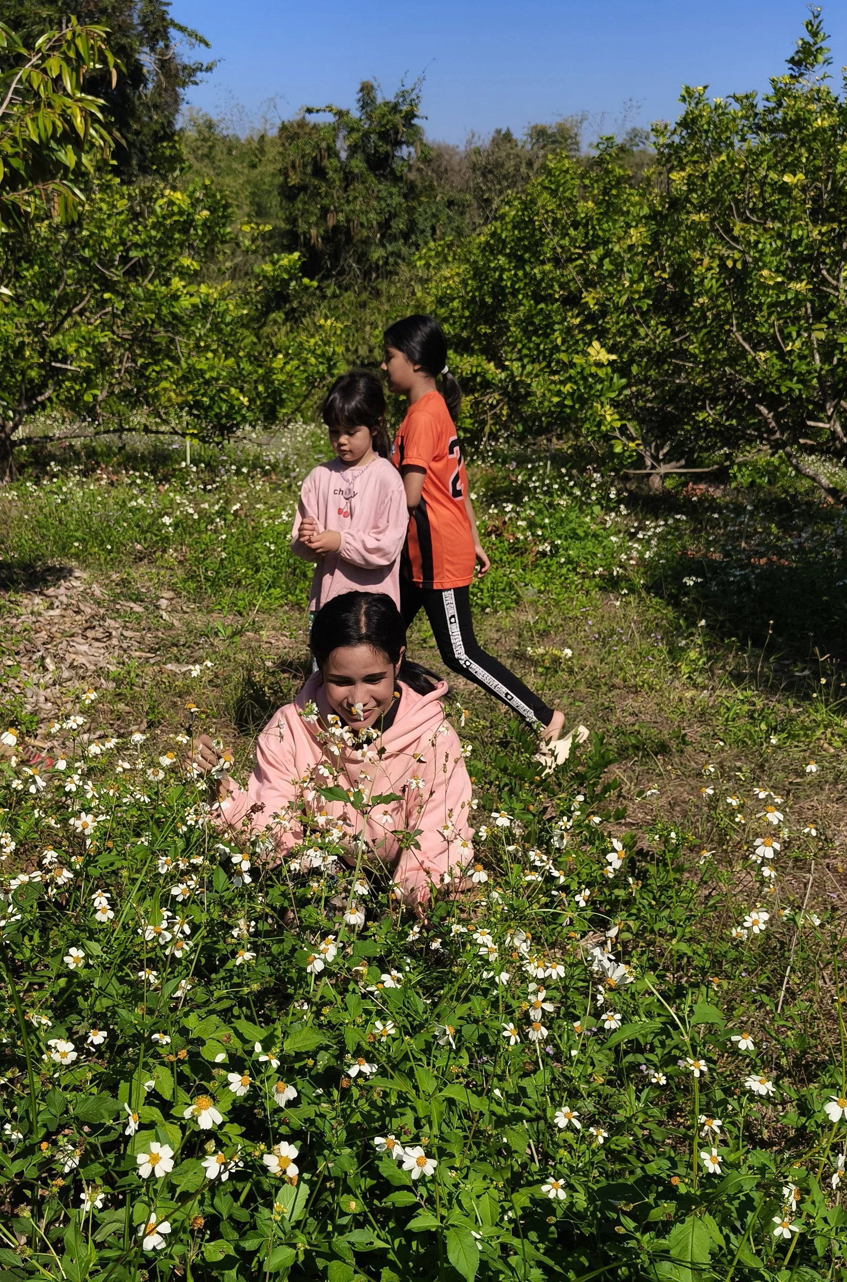 Ngao Durian Farm January 1 2026 (20).jpg