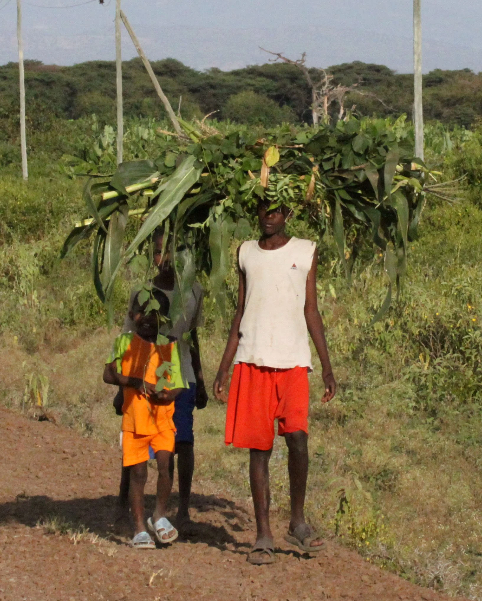 ARBAMINCH ETHIOPIA 2012 (107).JPG