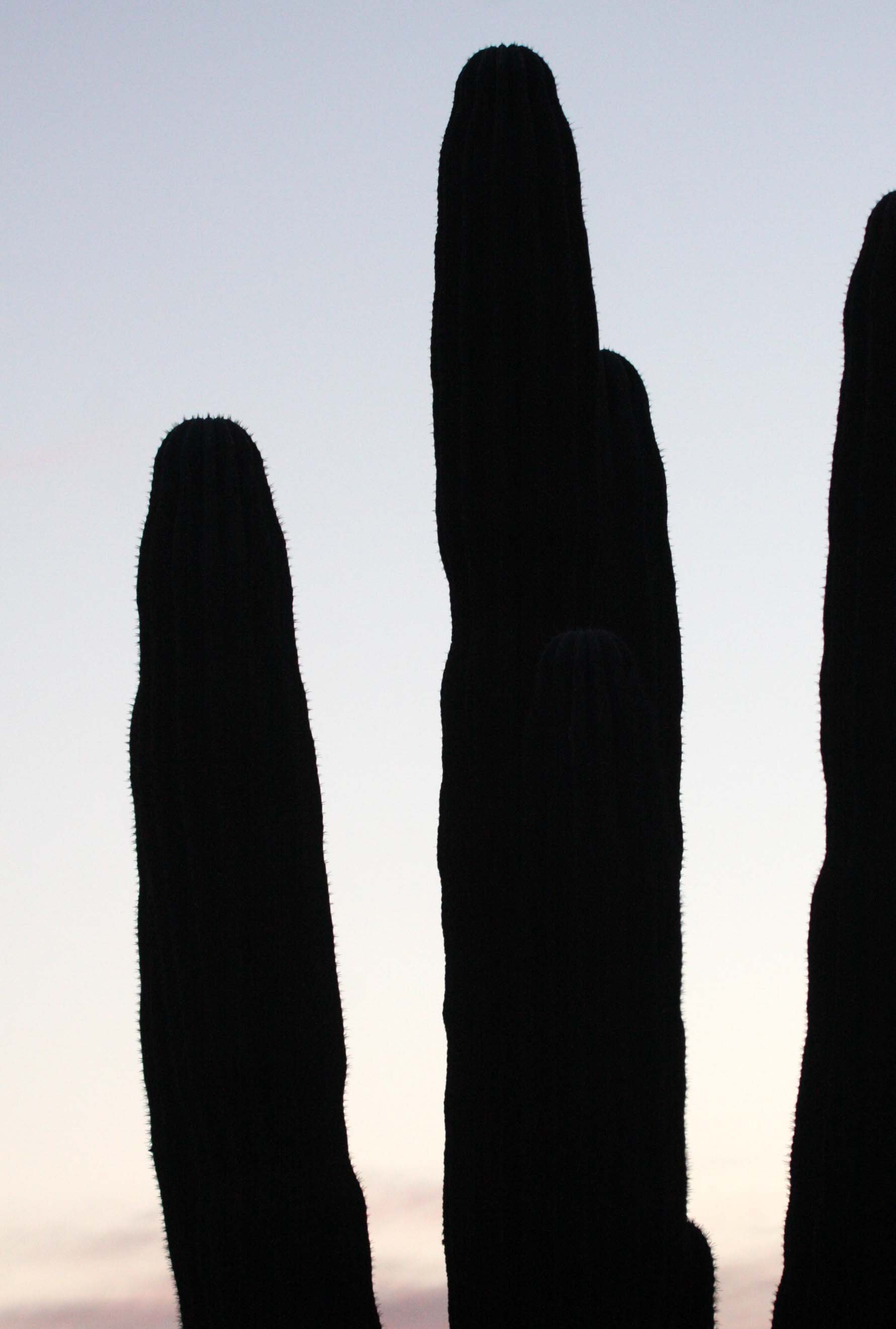 ISLA SANTA CATALINA BAJA MEXIO - SUNSET LANDSCAPES (23).JPG