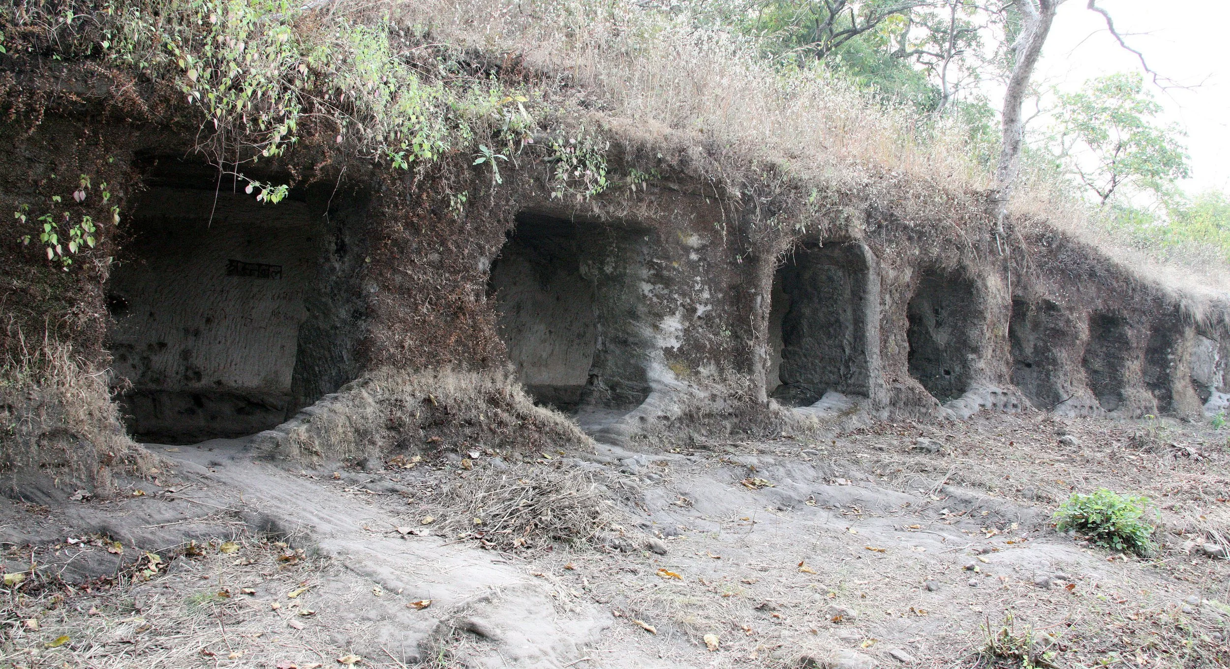 MADHYA PRADESH - BANDHAVGAR NATIONAL PARK MADHYA PRADESH INDIA (17).JPG