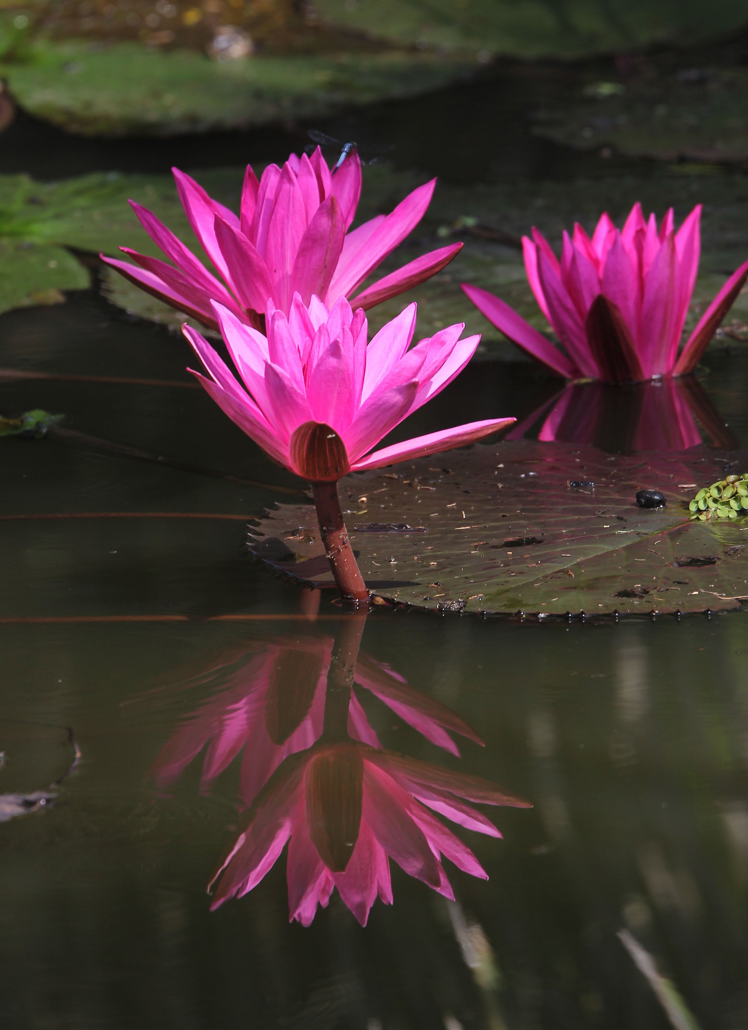 2015 Koh Lanta October Break Trip  (347).JPG