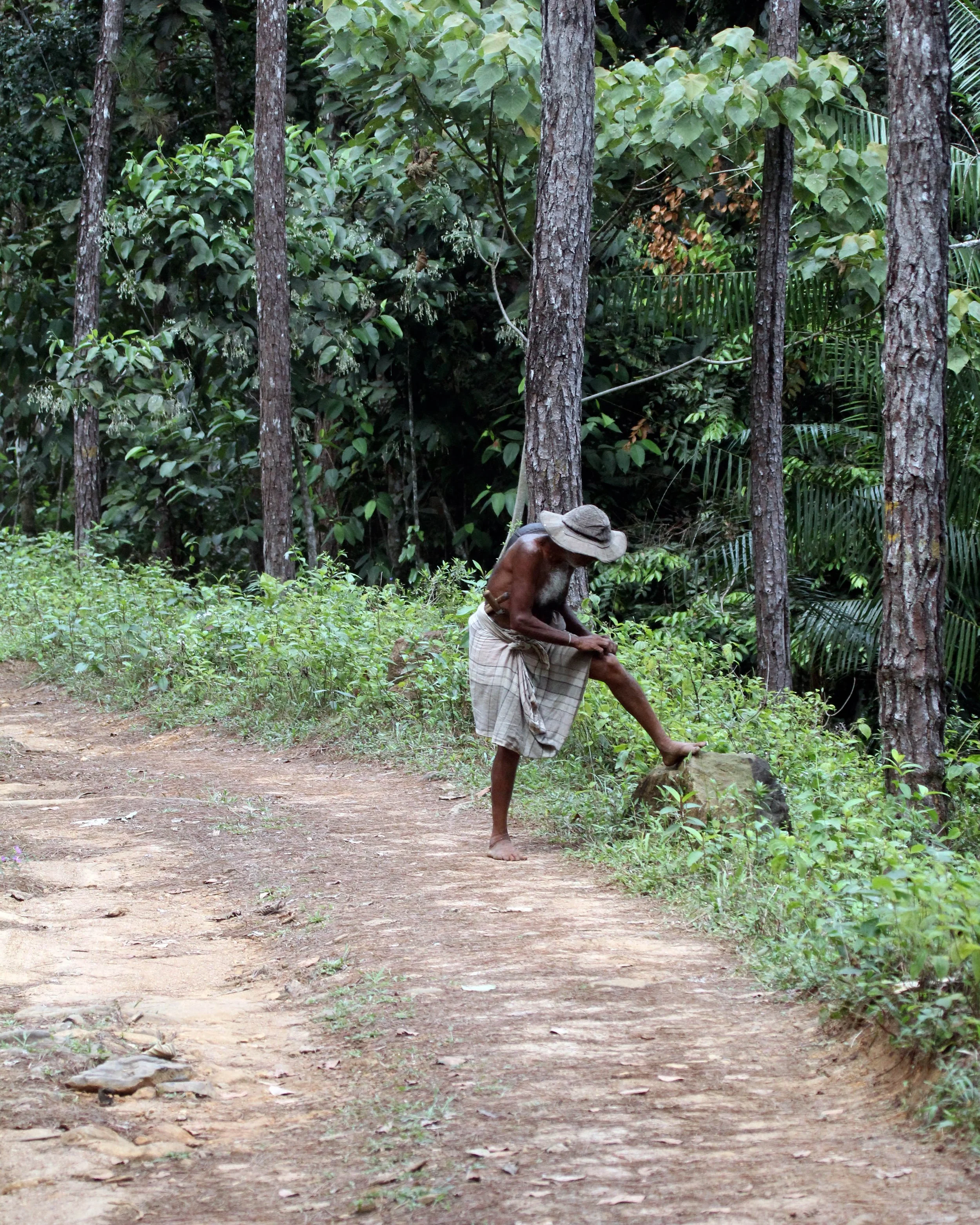 SINGHARAJA NATIONAL PARK SRI LANKA (5).JPG