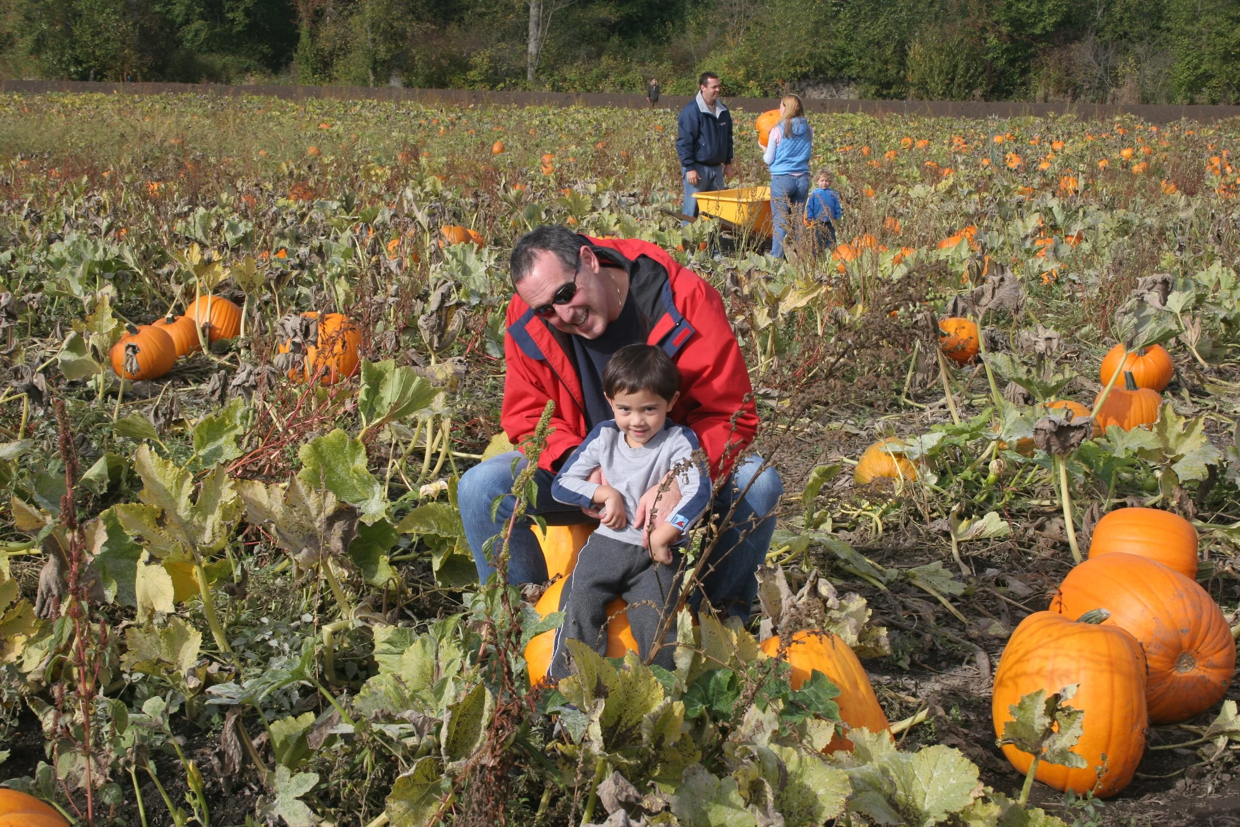 2005-6-9 PUMPKIN PATCH HALLOWEEN (11).JPG