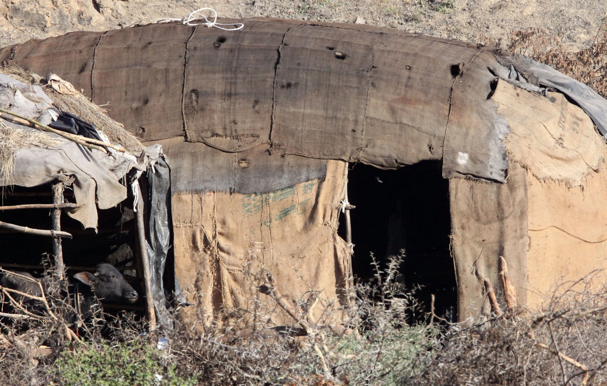GUJARAT - GIR FOREST GUJARAT INDIA - TRIBAL HOUSING (3).JPG