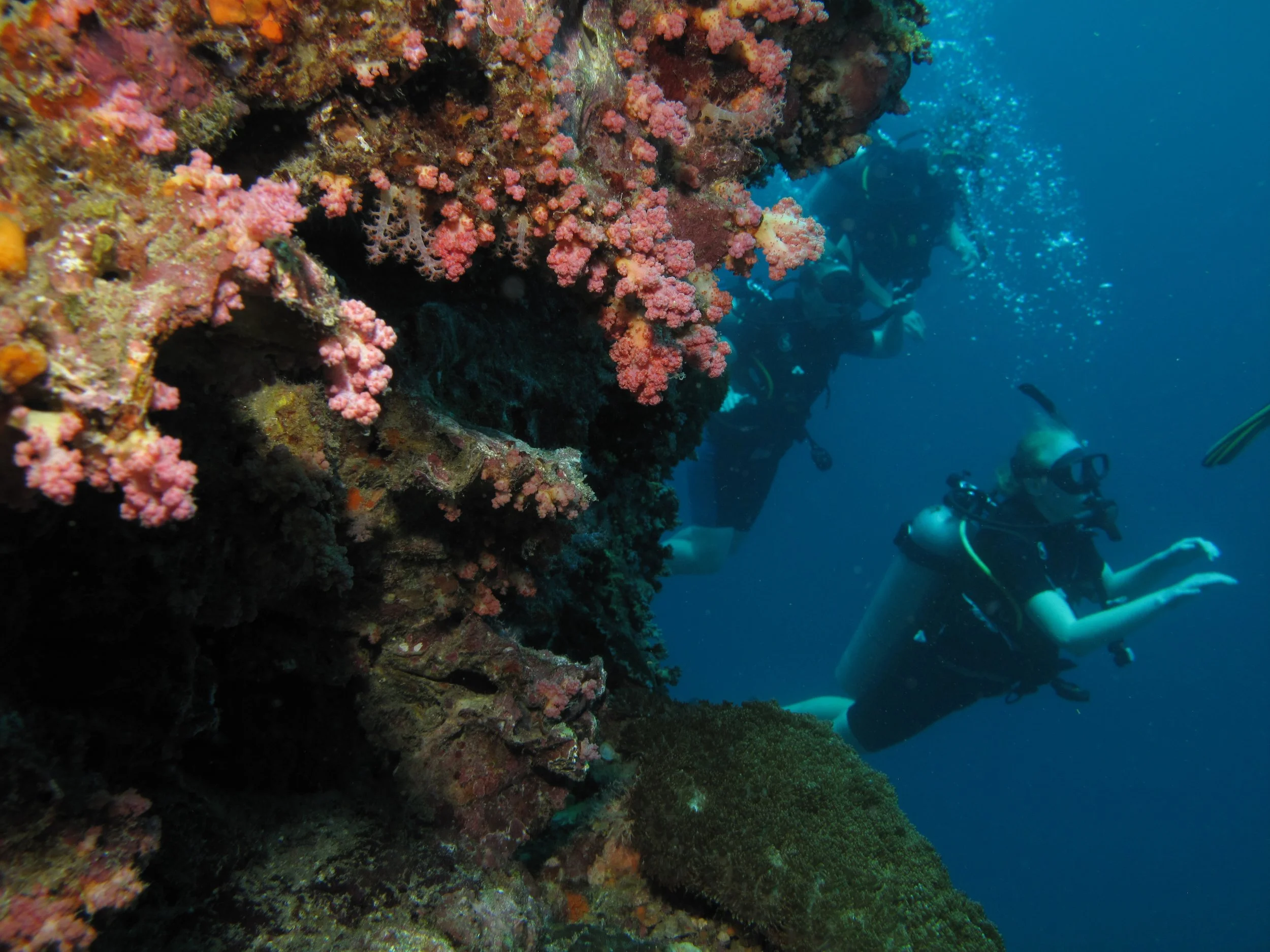2013 Diving Koh Lanta (104).jpg