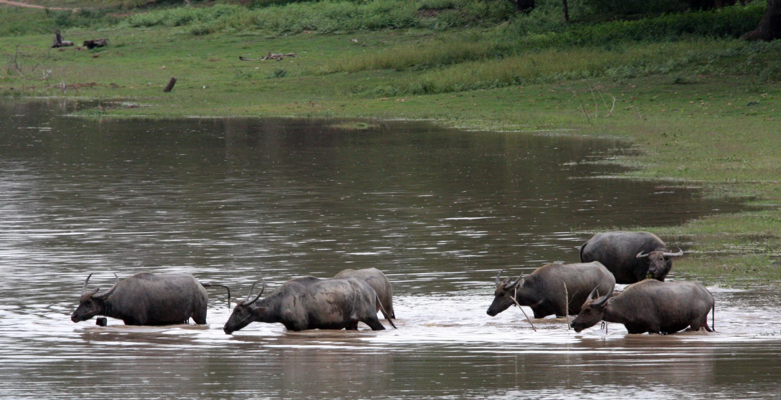 BAYON TEMPLE - CAMBODIA - JULY 2010 (68).JPG