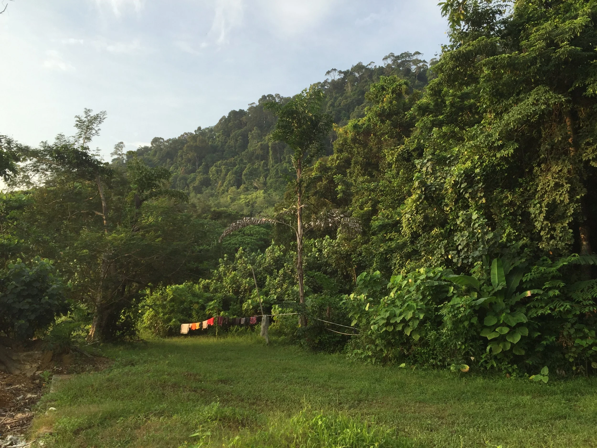 2015 Koh Lanta Garden & Nature (273).JPG