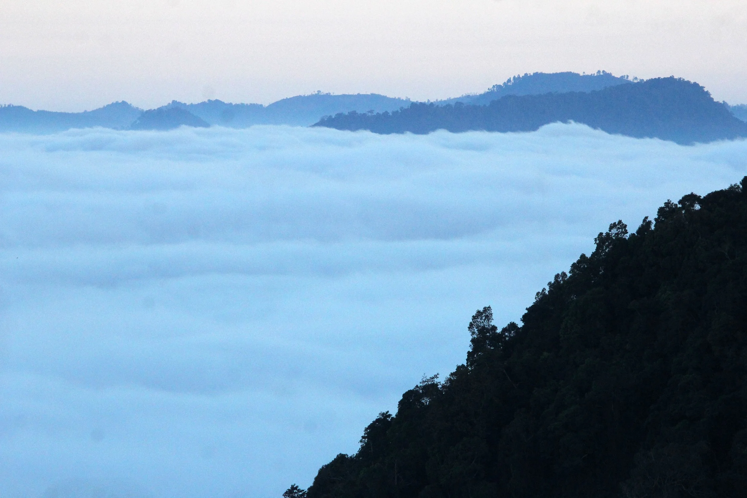 Thermal Inversion Causes Fog (Thale Mog) During clear, calm nights, the ground loses heat rapidly through radiation. The ground cools the air directly above it, creating a layer of cold, dense air trapped at the surface. A layer of warmer air moves i