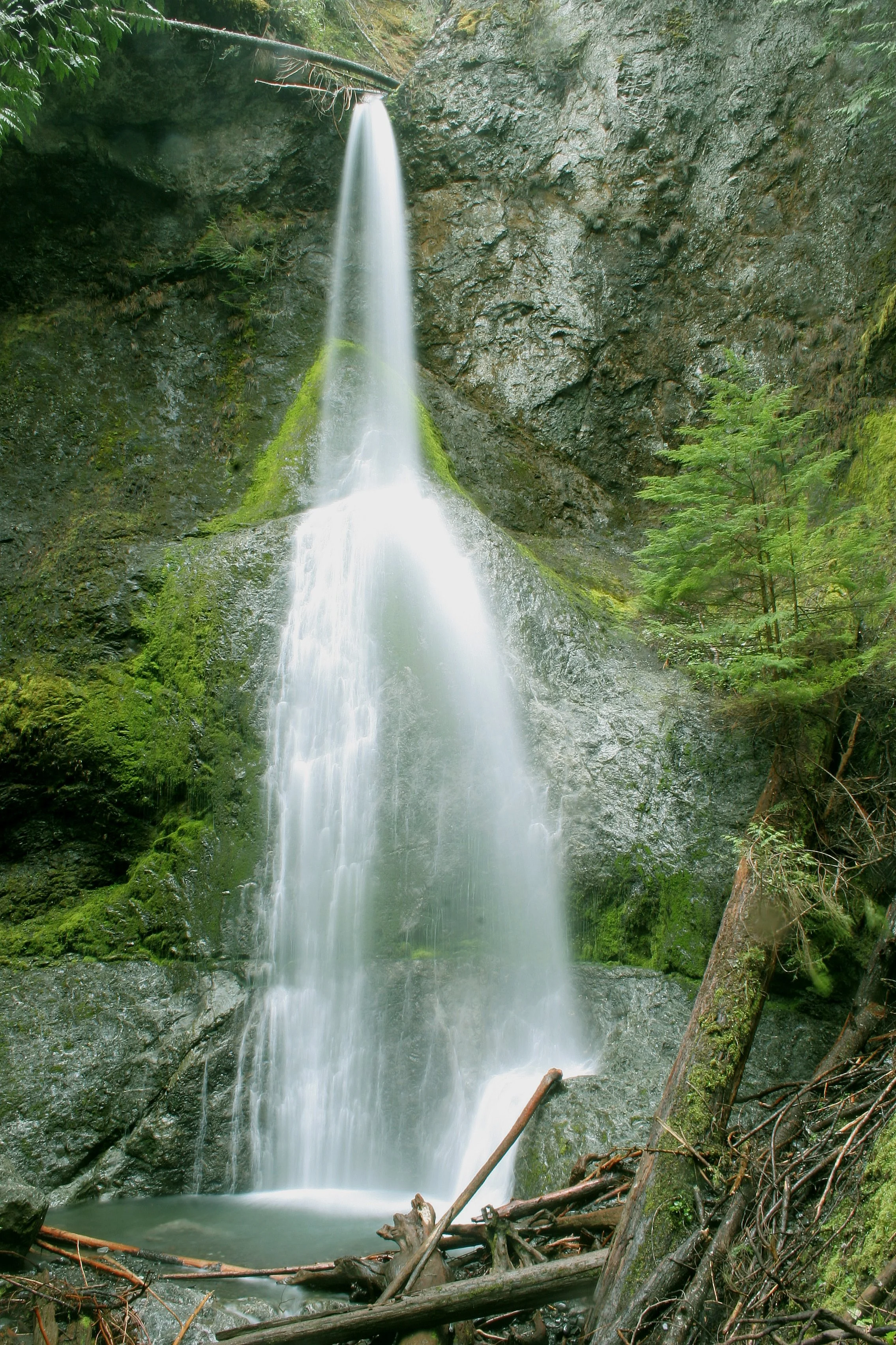 MARYMERE FALLS (14).JPG