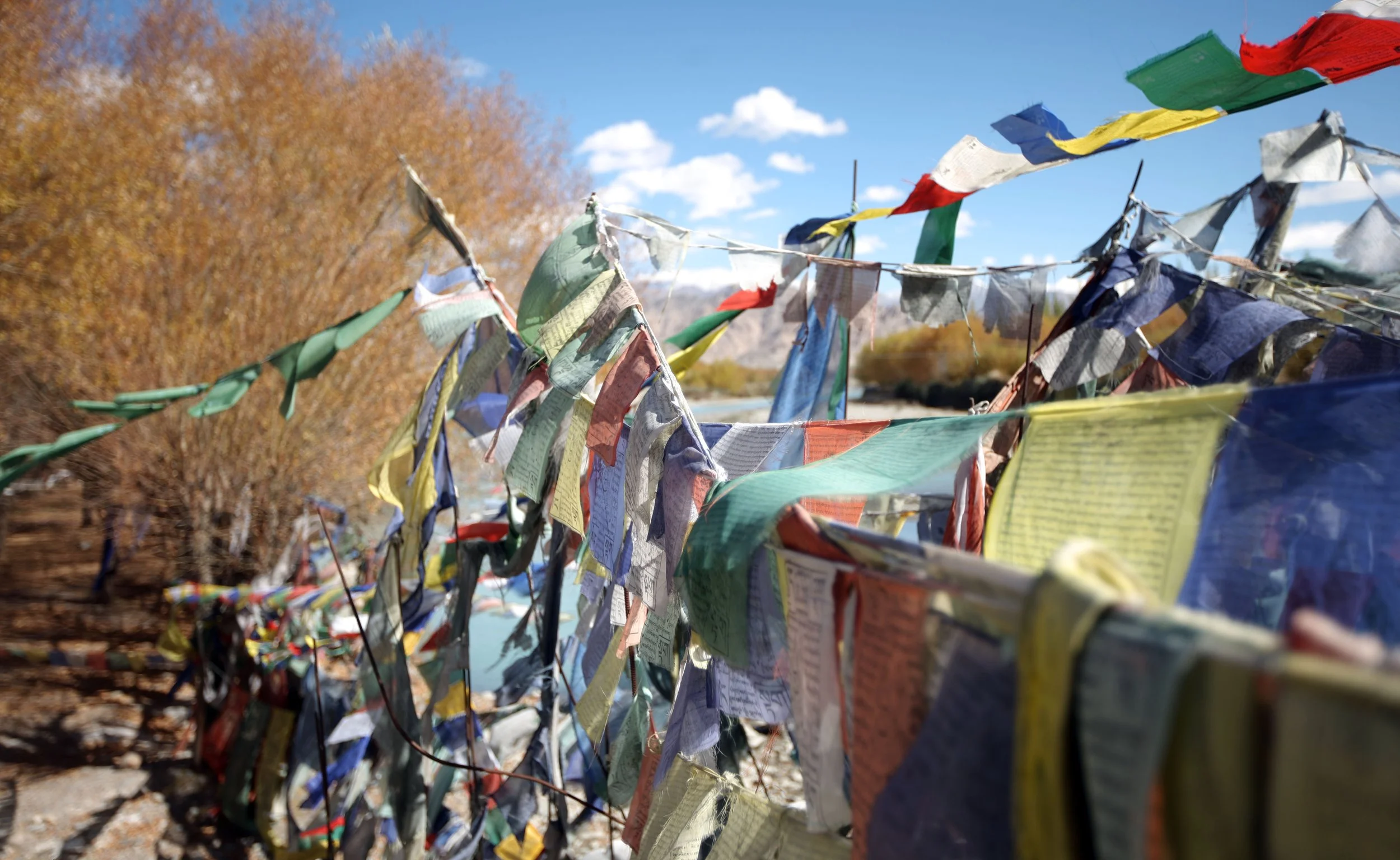 LEH LADAKH INDIA (4).JPG