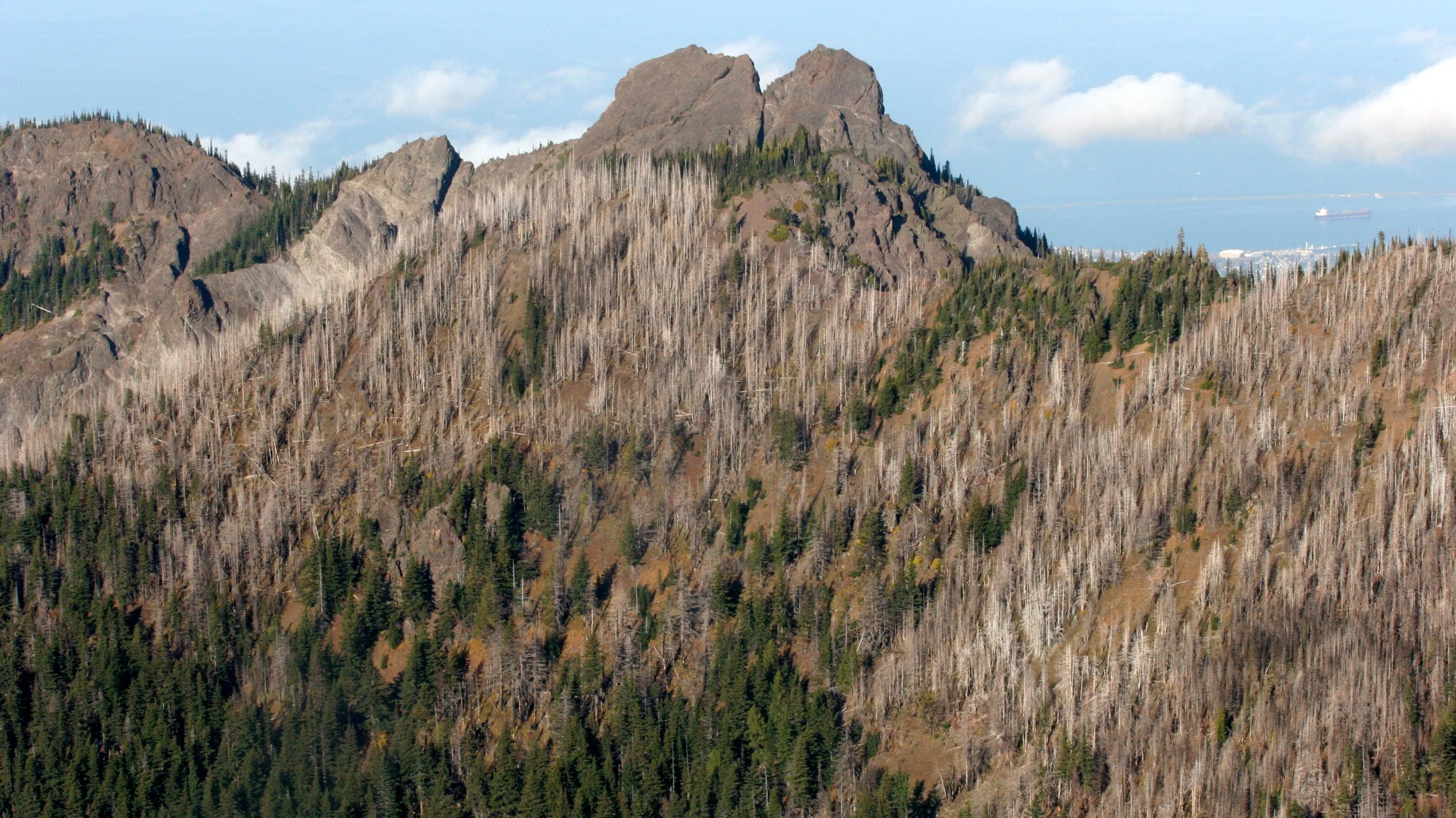 HURRICANE RIDGE - BURN ZONE.JPG