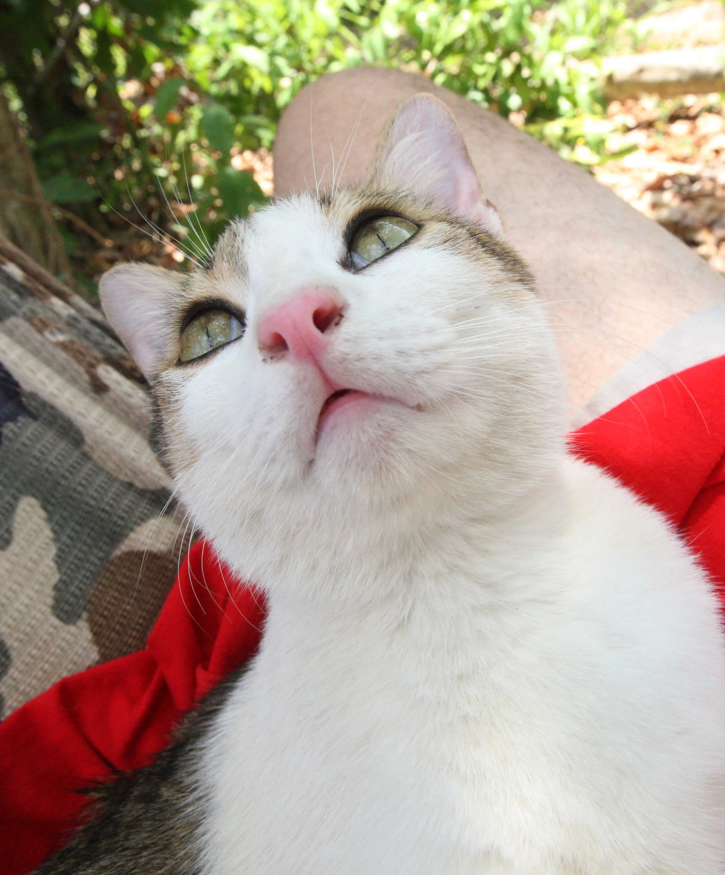 2015 Koh Lanta Songkran with friends from ISB (269).JPG