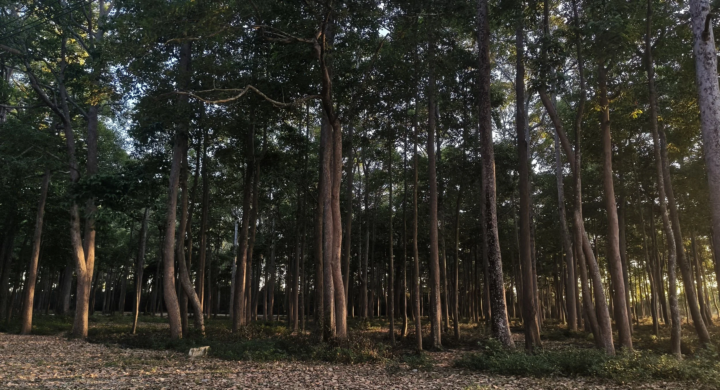 Wat Ku Phra Kona - Roi Et (15).jpg