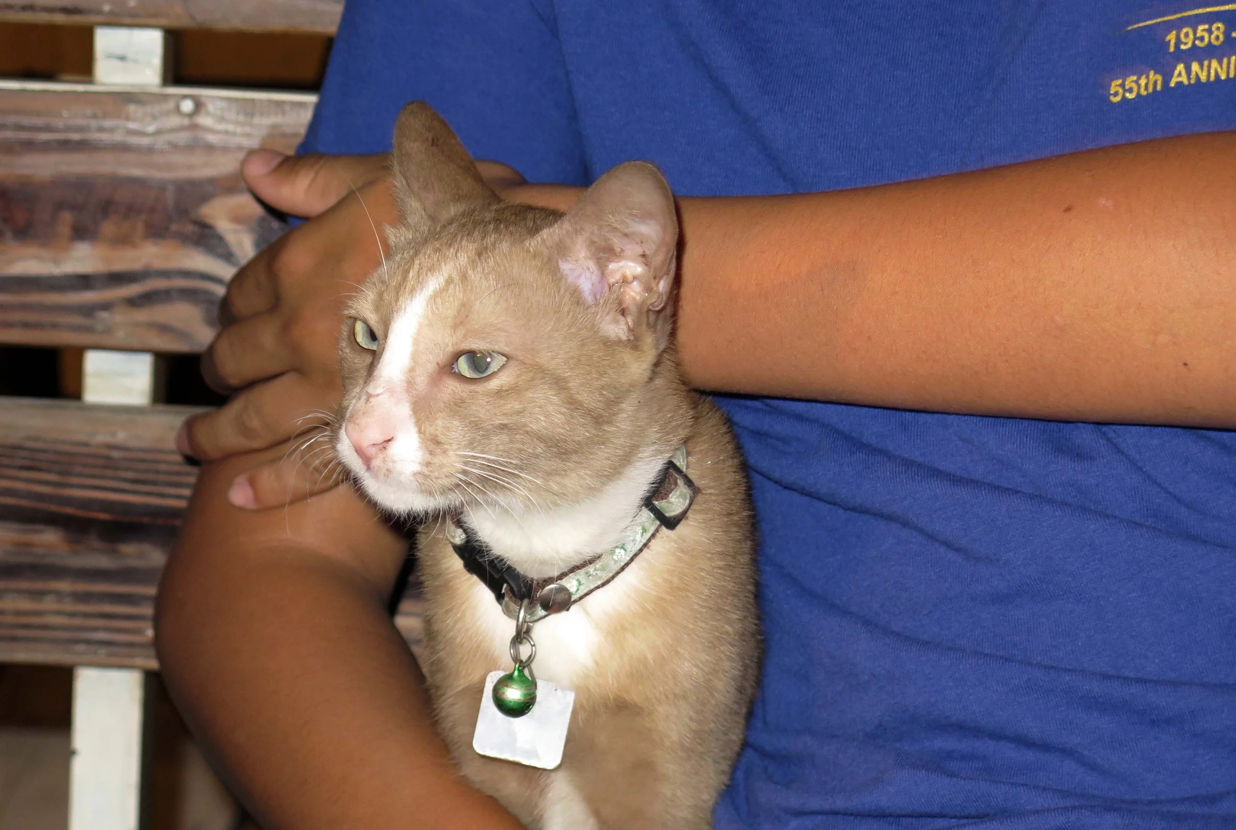 2013 - BANGKOK - NOVEMBER 2013 - MARCH 2014 (47).JPG