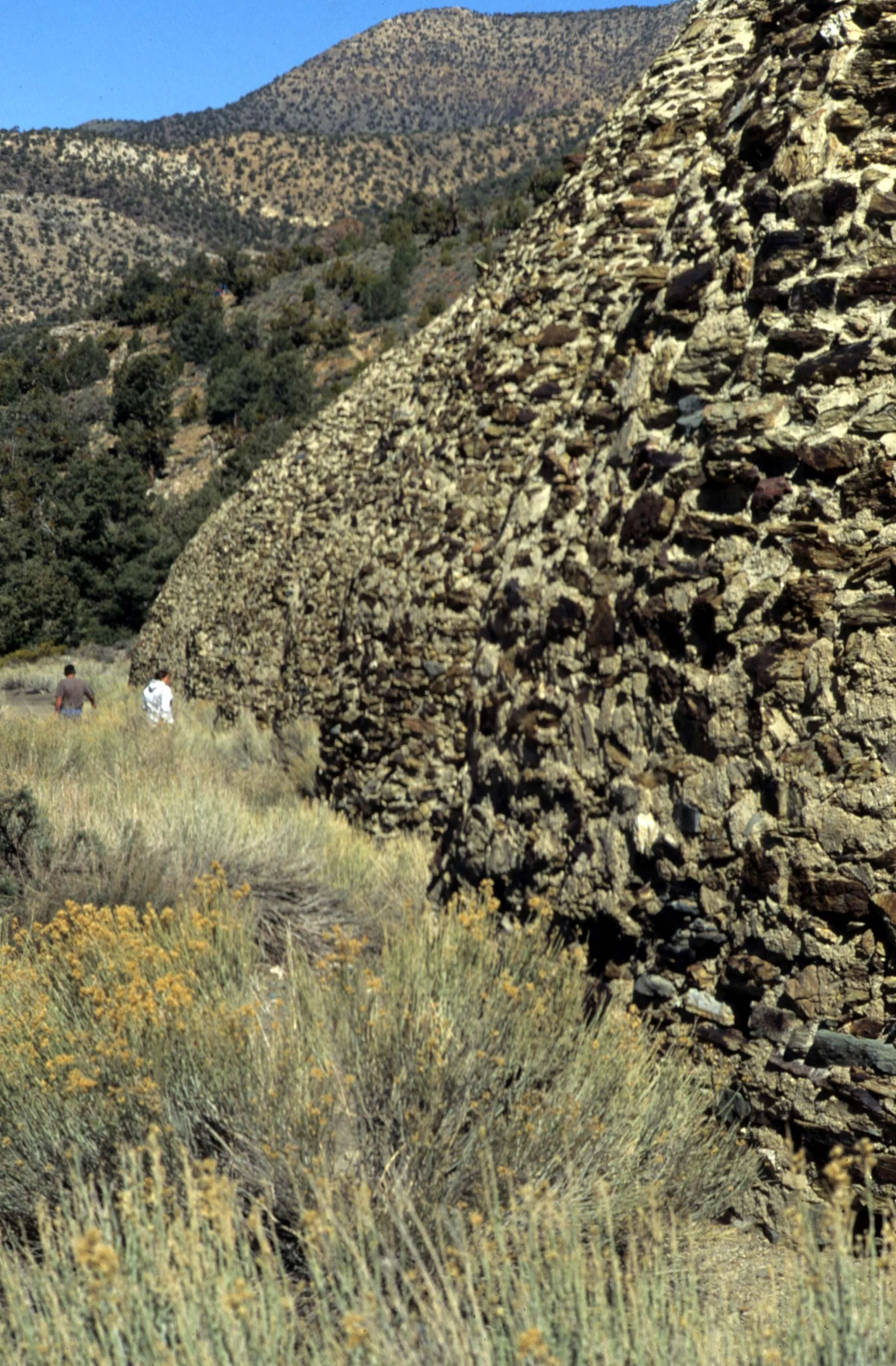 DEATH VALLEY - MAHOGANY KILNS A.jpg