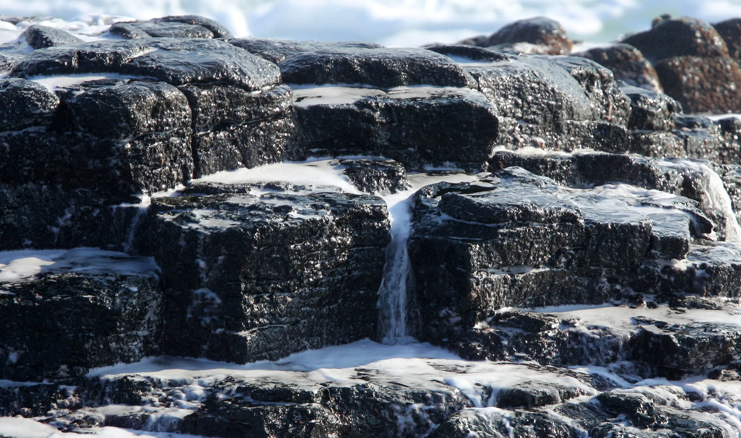 HANASAKI CAPE - NEMURO PENINSULA - HOKKAIDO JAPAN (10).JPG