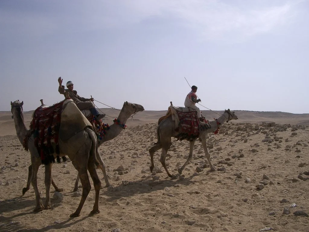 PYRAMIDS - CAMEL RIDES ON GIZA PLATEAU.JPG