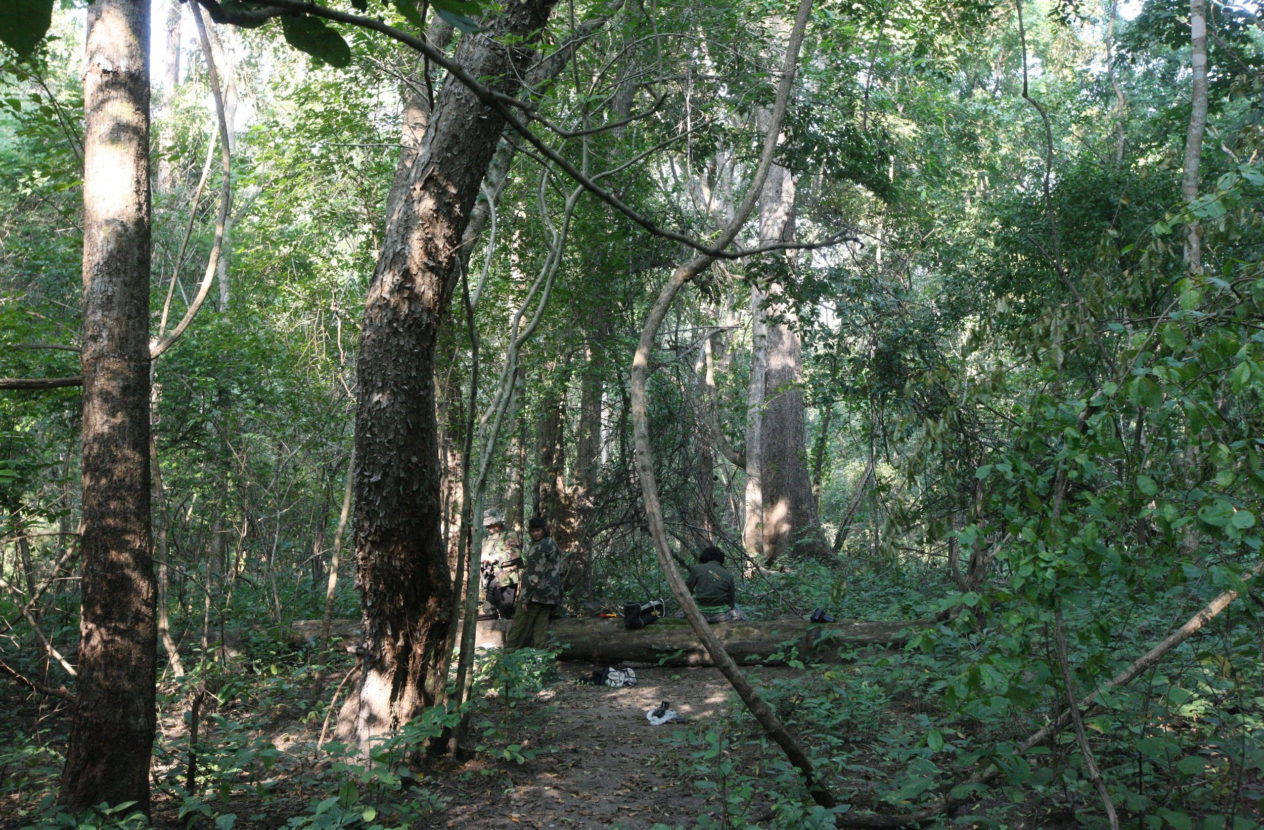 2014 Huai Kha Khaeng Bruce Kekule Trip (189).JPG