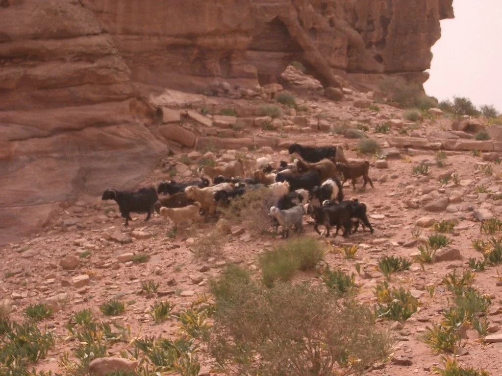 PETRA MONASTERY (3).JPG